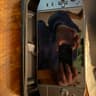 Lenovo Legion Go 512GB — Like New | + accesories