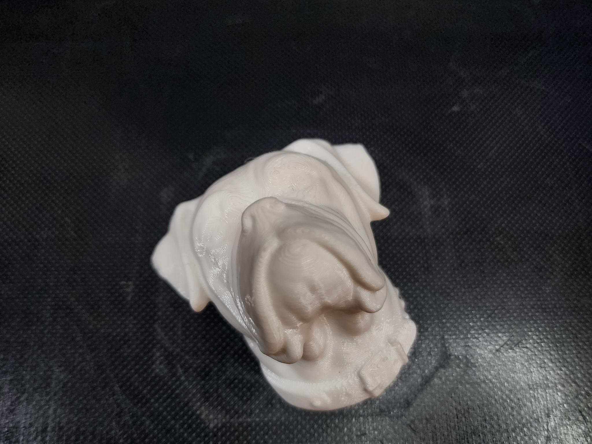 Creality Ender 3 3D Printer