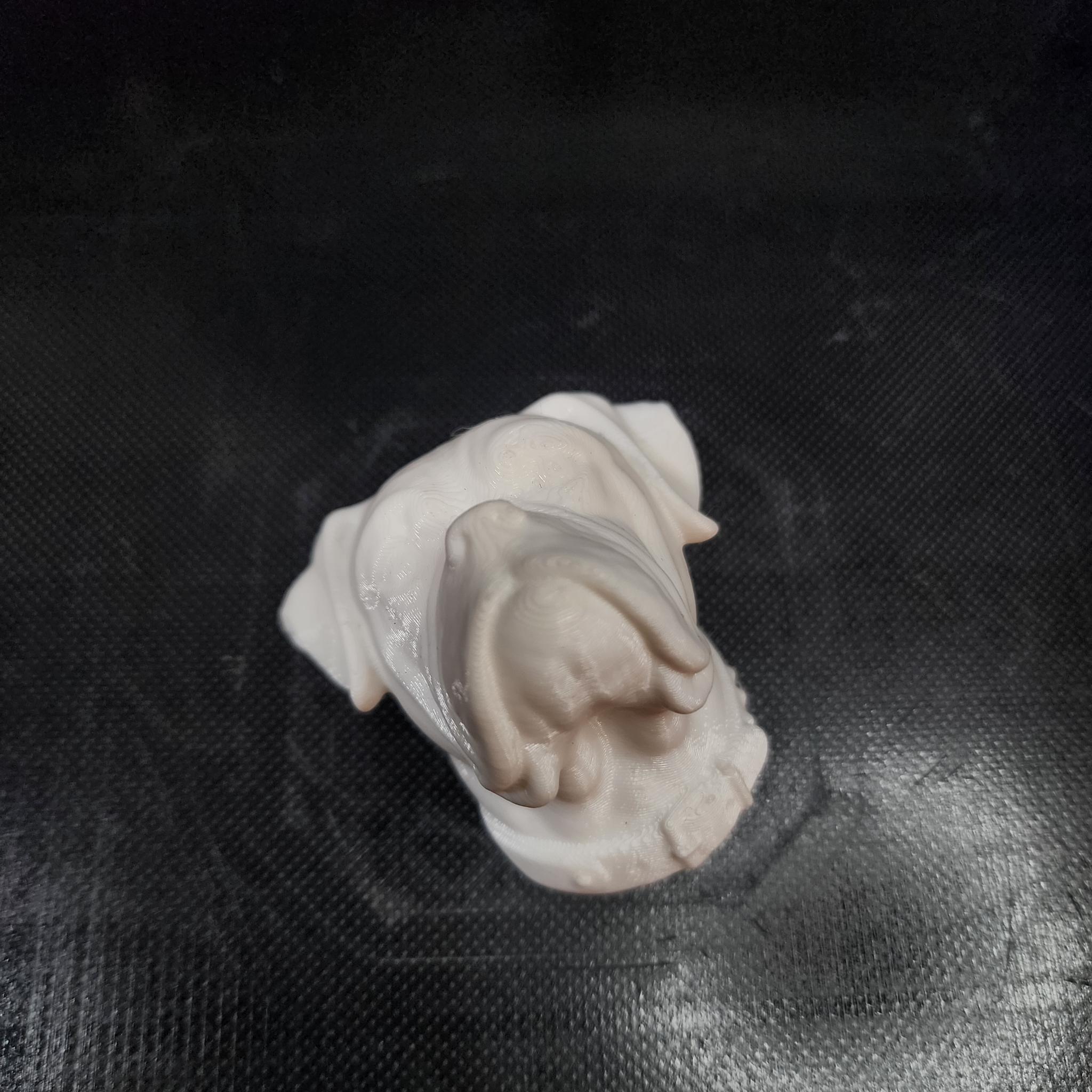 Creality Ender 3 3D Printer