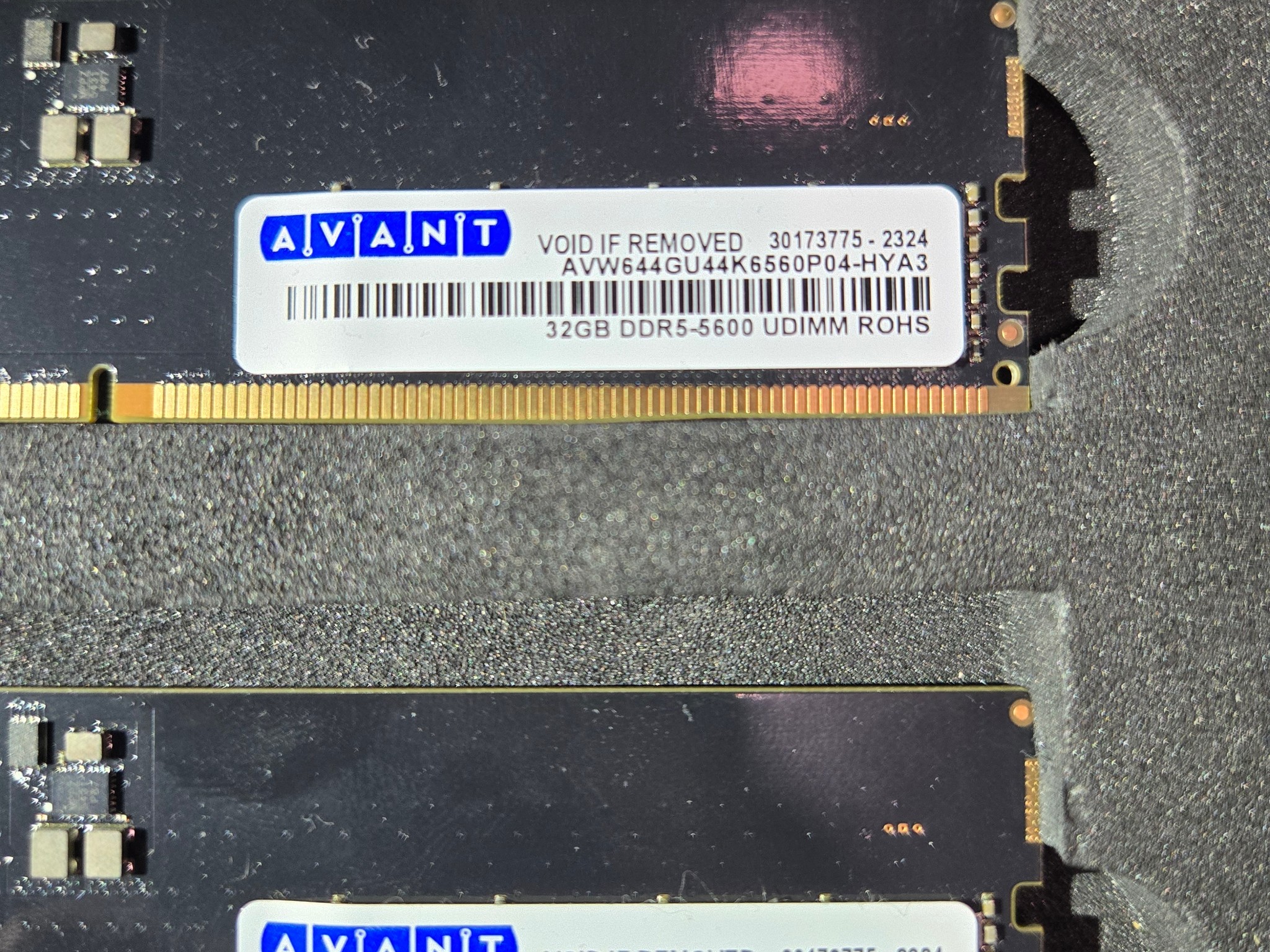 Avant 64gb (2x32) 5600 (?)