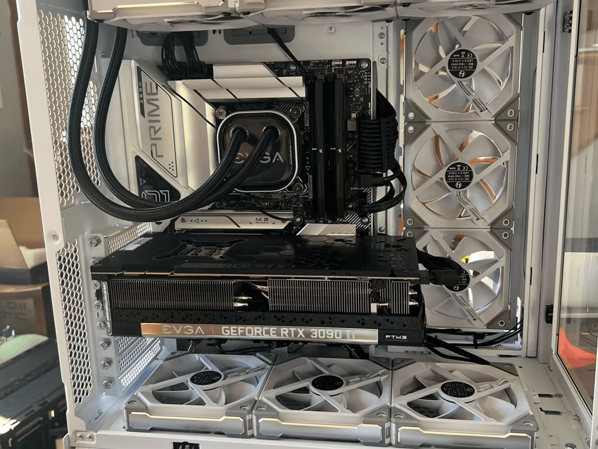 Project Lucid
