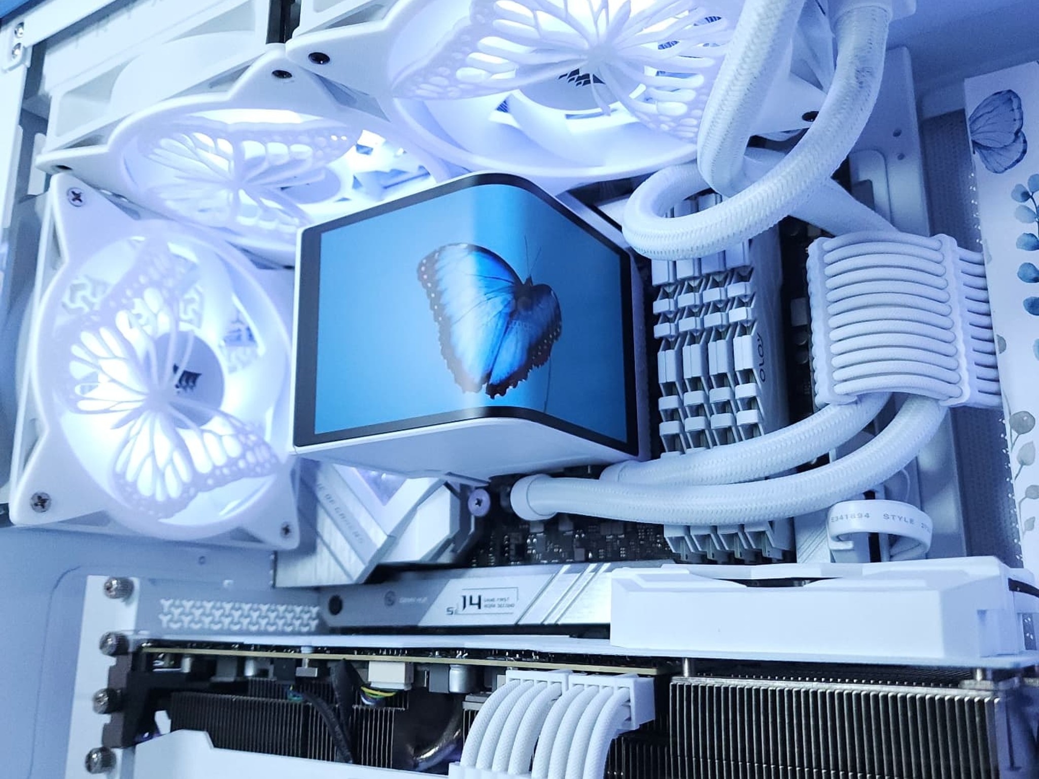 🦋RTX 3080 Core i9 12900K ● 1440p Gaming Computer
