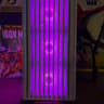 1080p Gaming Beast | RTX 3060 12GB | Ryzen 5 5500 | 32GB DDR4 | 1 TB | WIFI