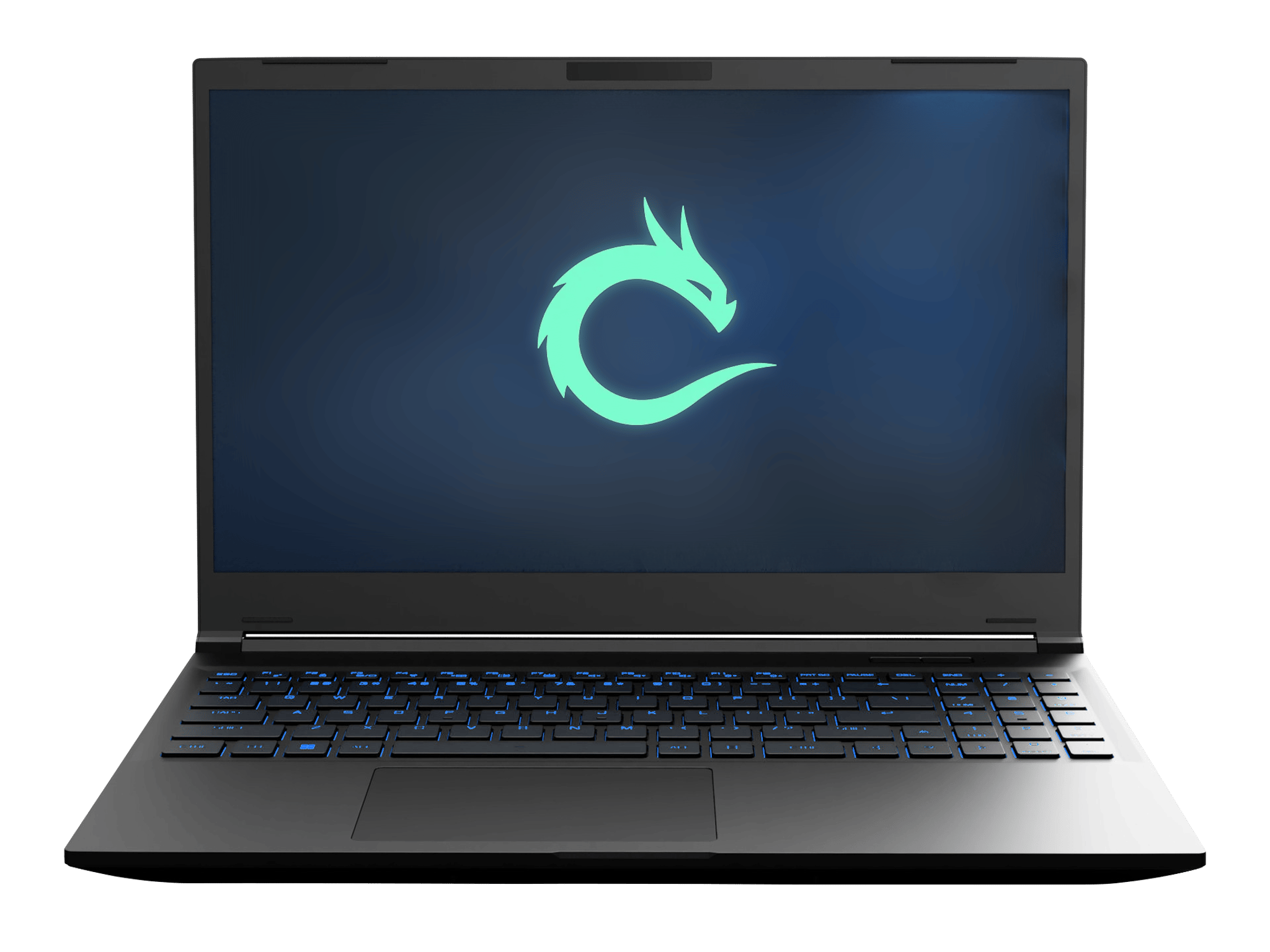 Ryzen 7 7840HS/RTX 4070/32GB DDR5/2TB/2K 165HZ Valyrian Pro Gaming Laptop