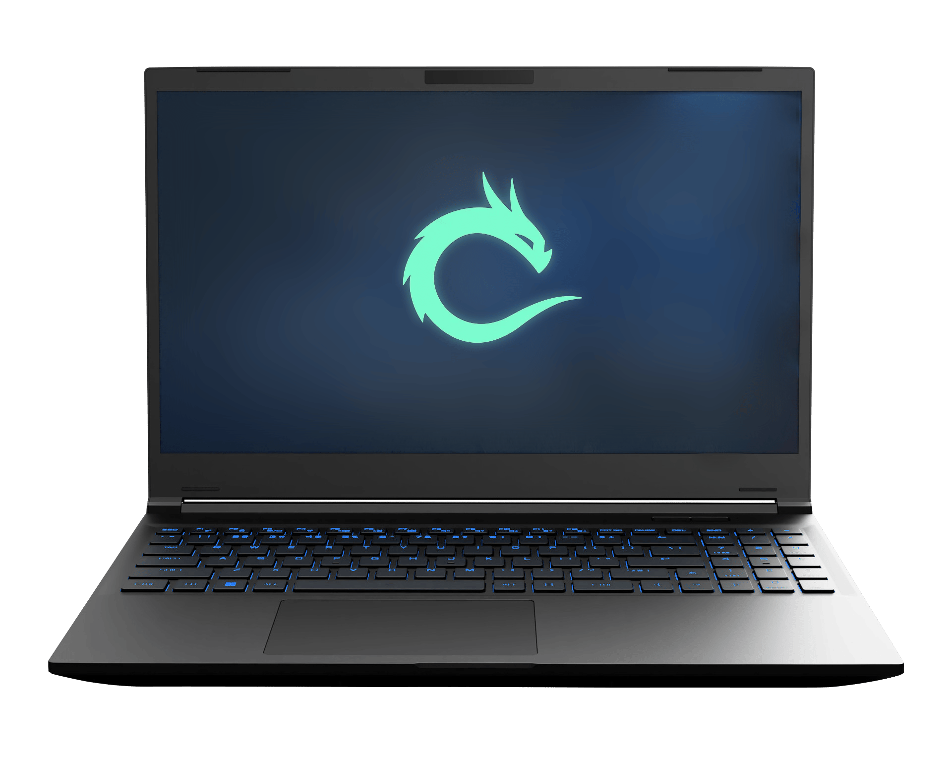 Ryzen 7 7840HS/RTX 4070/32GB DDR5/2TB/2K 165HZ Valyrian Pro Gaming Laptop