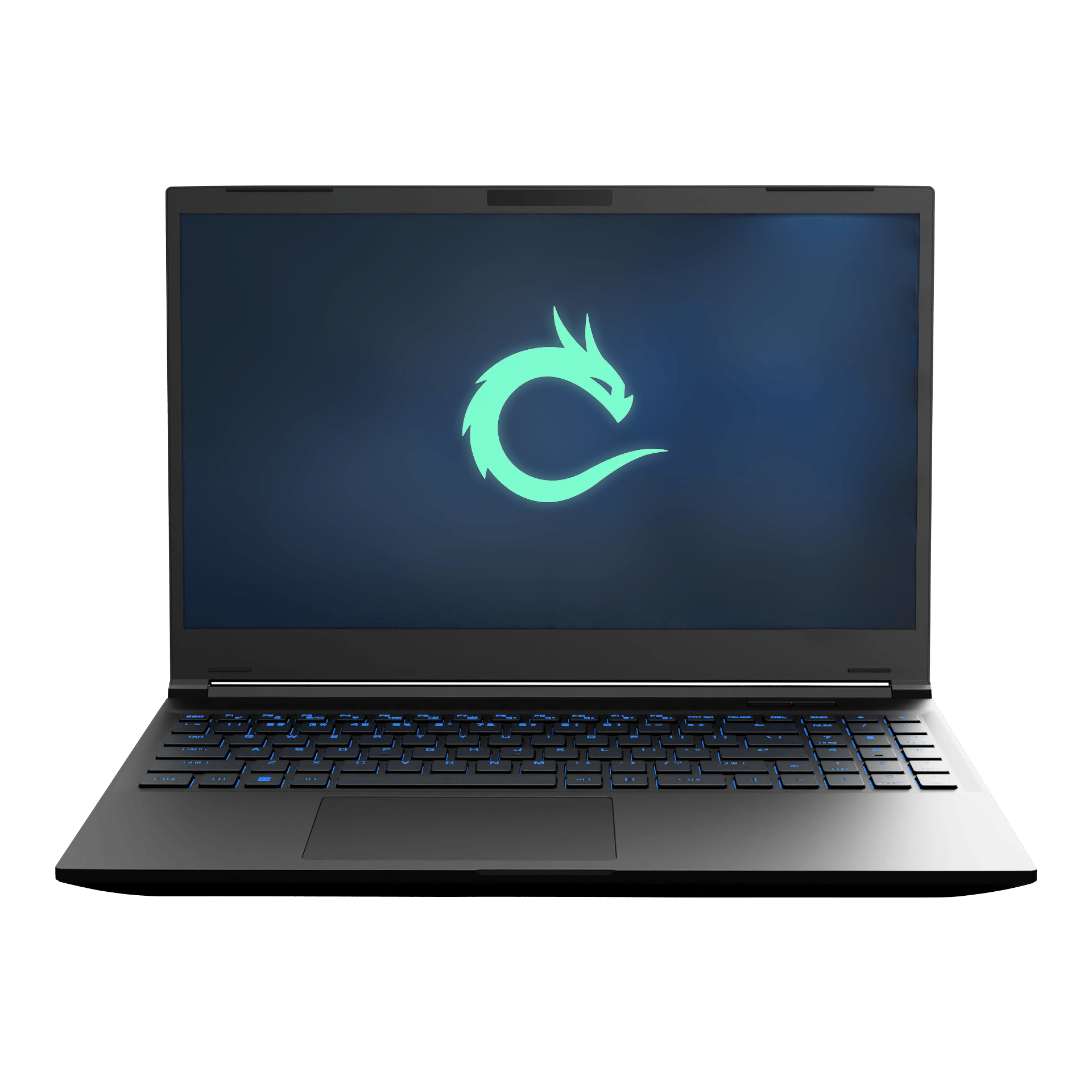 Ryzen 7 7840HS/RTX 4070/32GB DDR5/2TB/2K 165HZ Valyrian Pro Gaming Laptop