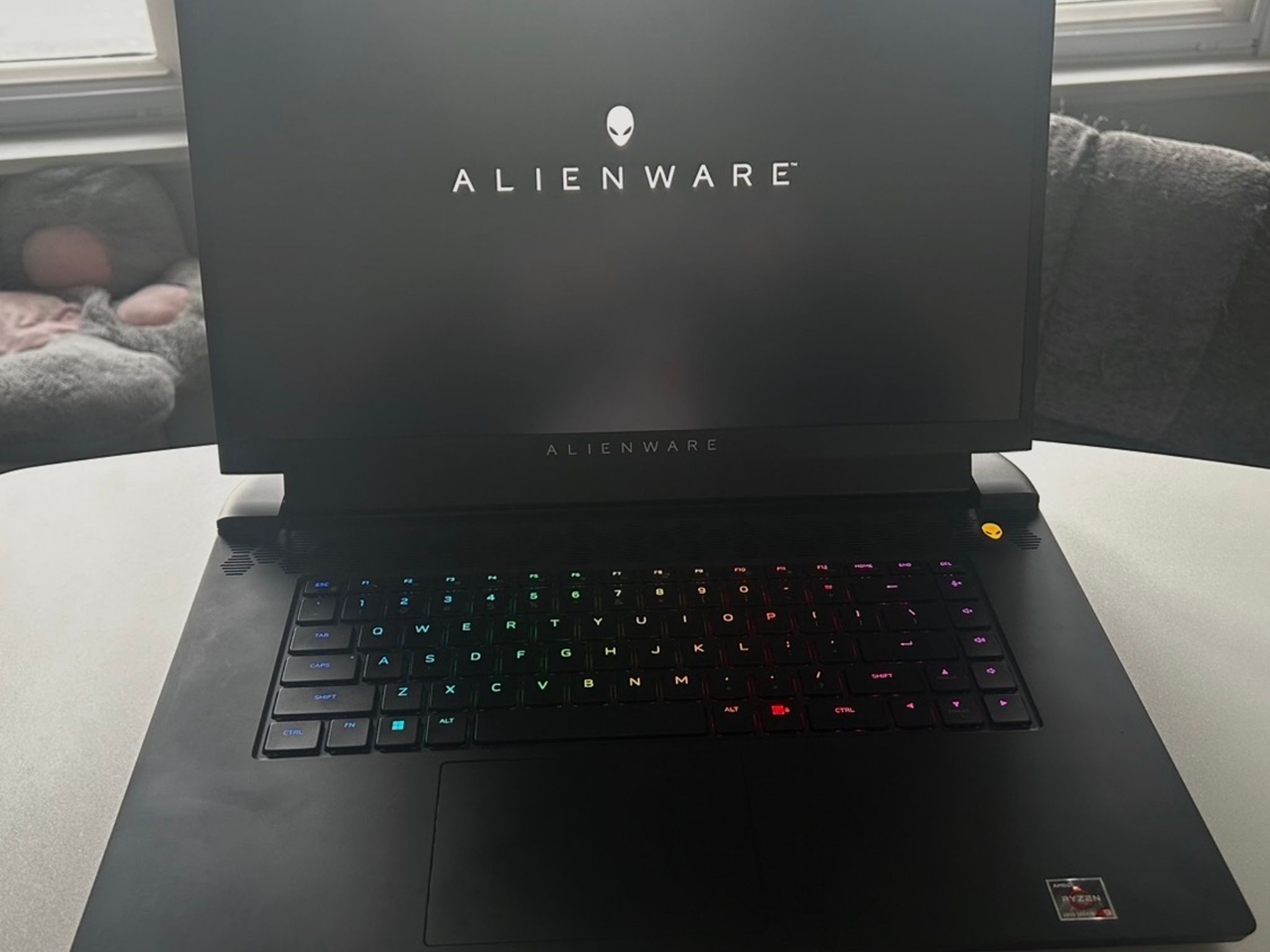 Alienware M17 R5 17.3'' (1TB SSD. AMD Ryzen 9 6900HX, 4.9GHz 32GB RAM) Laptop