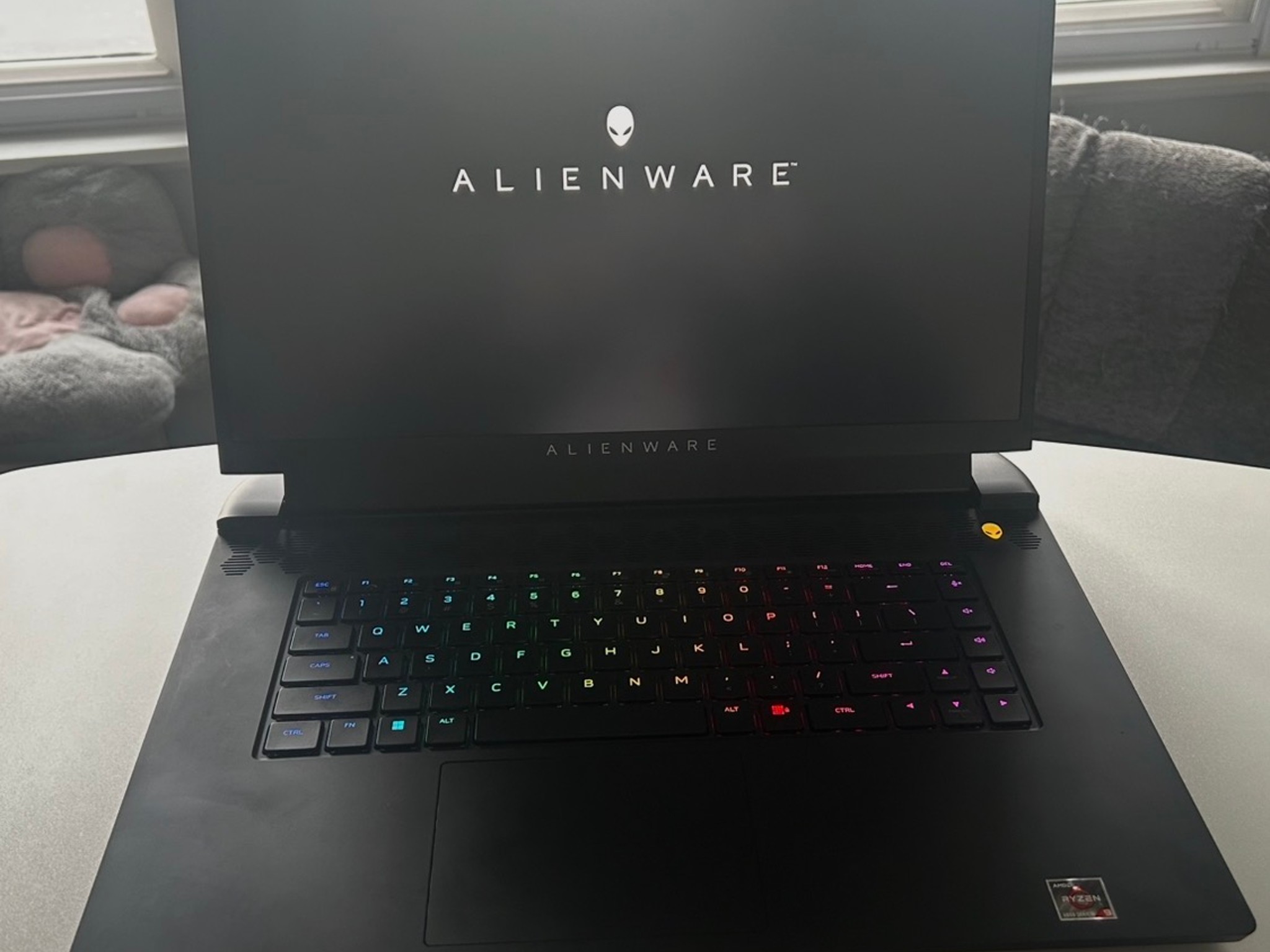 Alienware M17 R5 17.3'' (1TB SSD. AMD Ryzen 9 6900HX, 4.9GHz 32GB RAM) Laptop