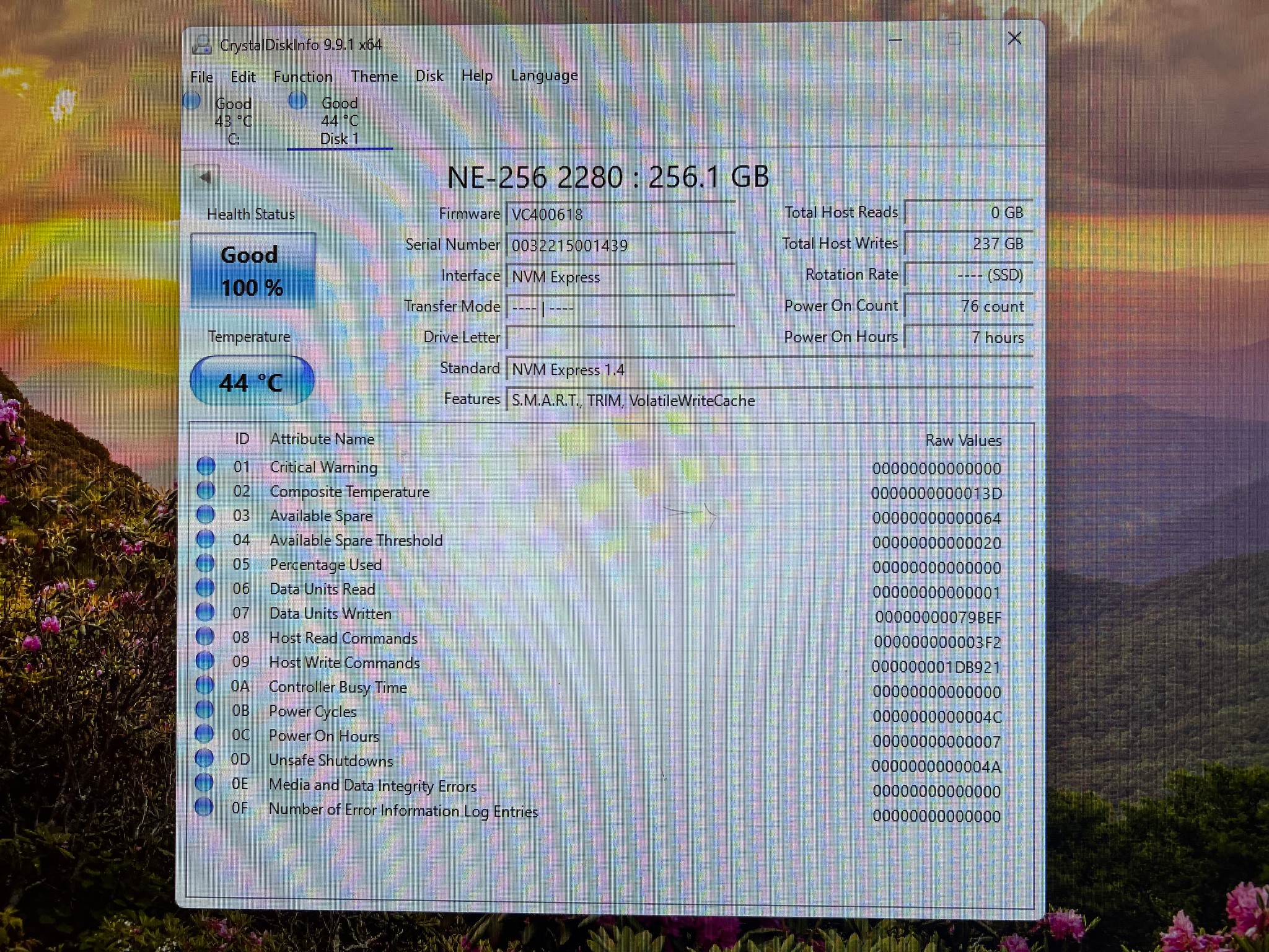 256GB PCIe Gen 3.0x4.0 M.2 NVMe SSD KingSpec NE Series - 100% Health