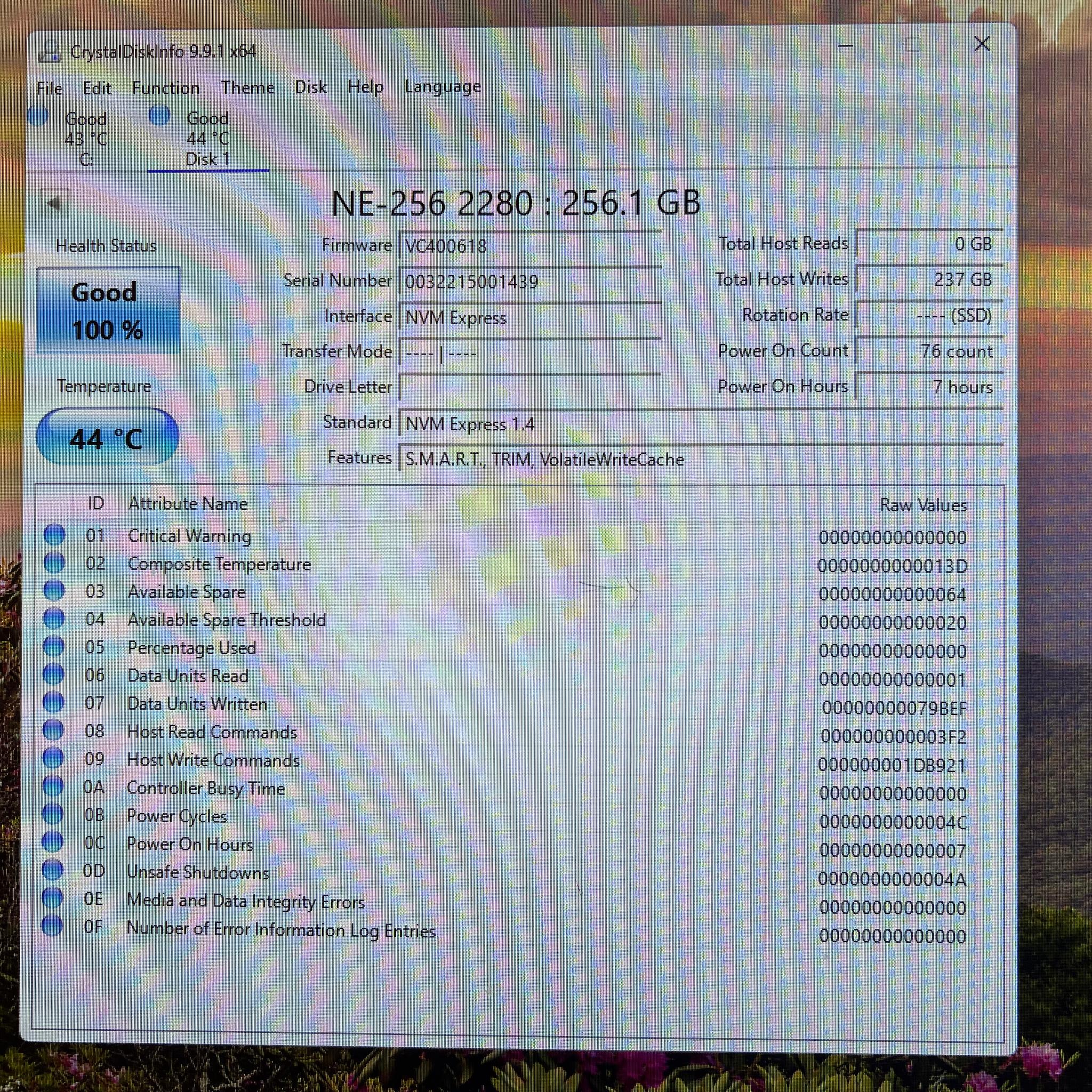 256GB PCIe Gen 3.0x4.0 M.2 NVMe SSD KingSpec NE Series - 100% Health