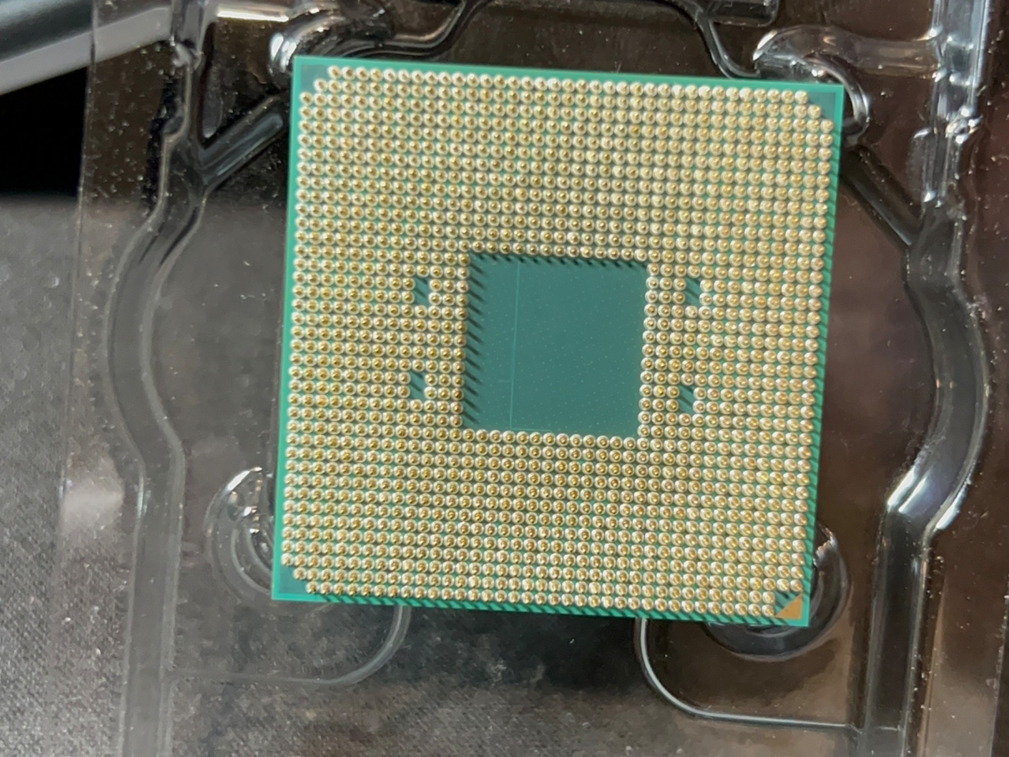 Ryzen 5 5600X