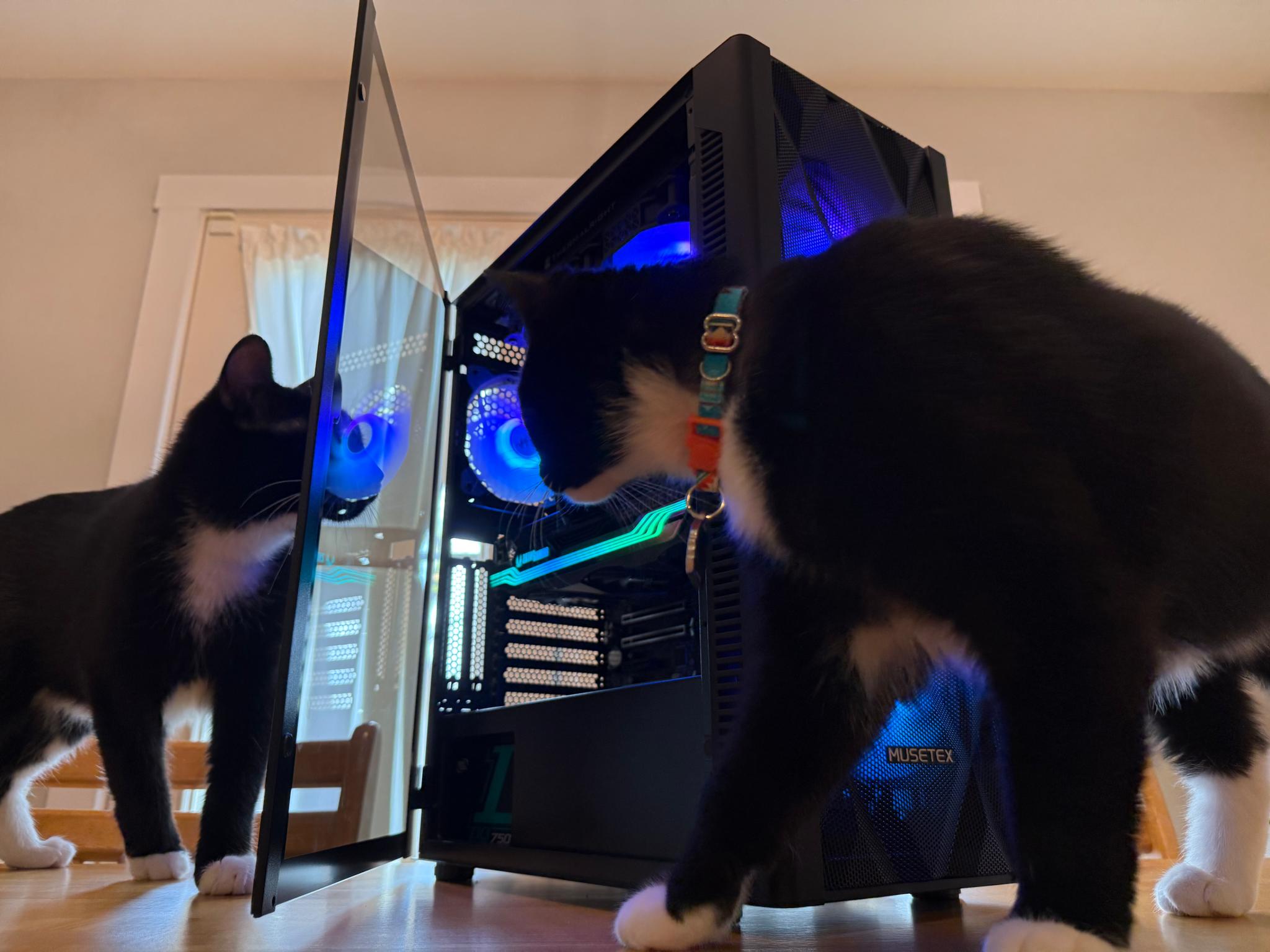 Scratch&Dent RTX 3070ti, Intel i9 9940x QS, 24gb Ram, 1tb SSD, WiFi Equipped ARGB Gaming PC