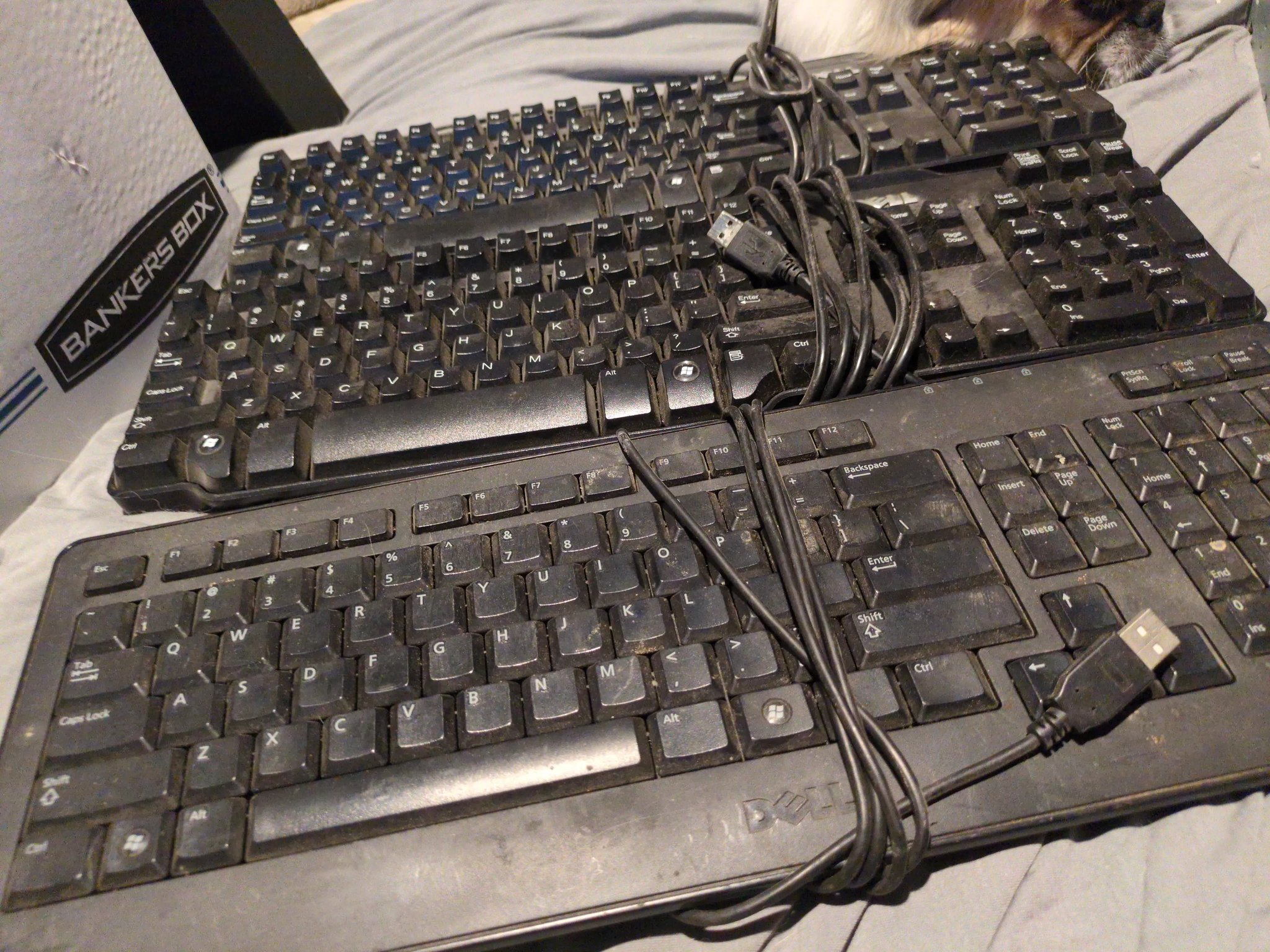 3x Dell Keyboard