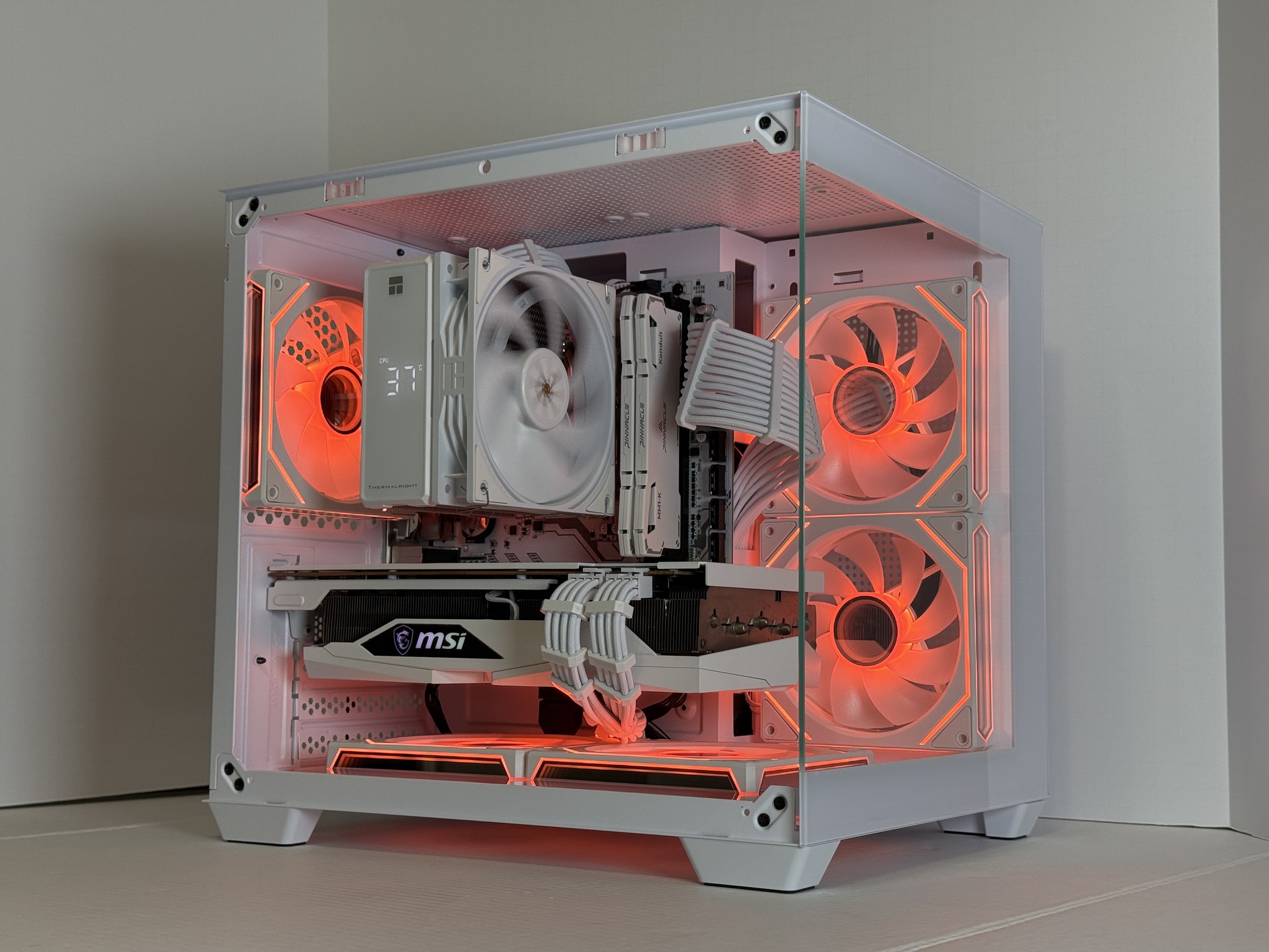 Polar Beast 1440p | RX 6700 XT | Ryzen 5 5600 | 1TB NVMe