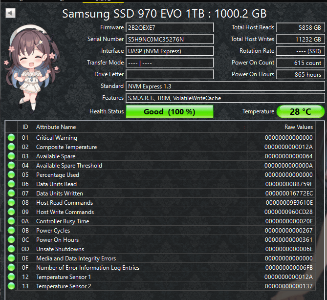 Samsung 970 EVO 1TB NVMe M.2 SSD – Tested – 100% Health – PCIe Gen3 x4