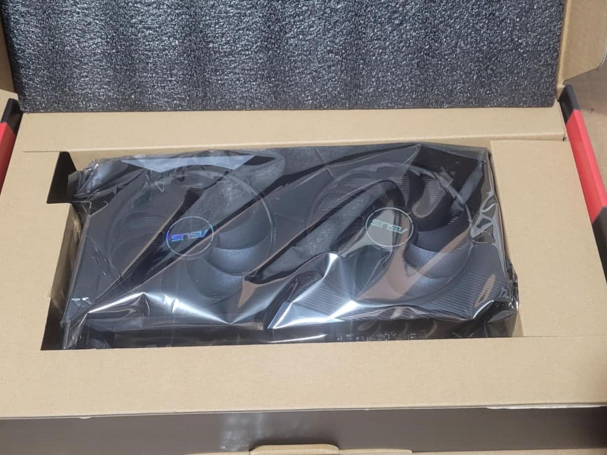 Asus Dual 6600 8GB GPU