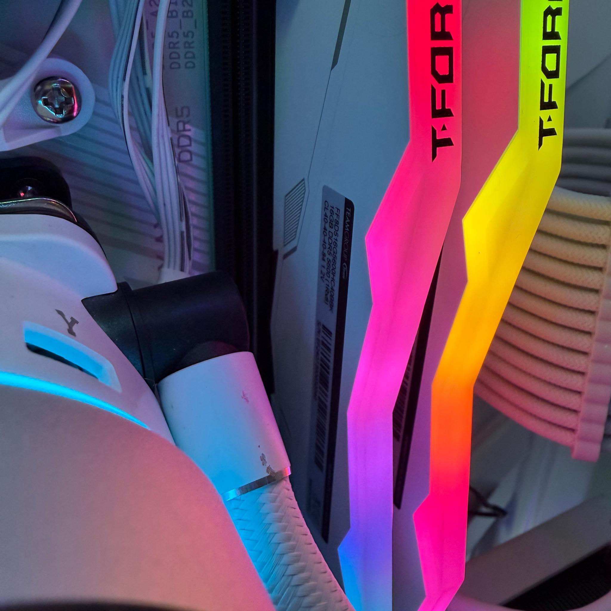 Arctic Pulse