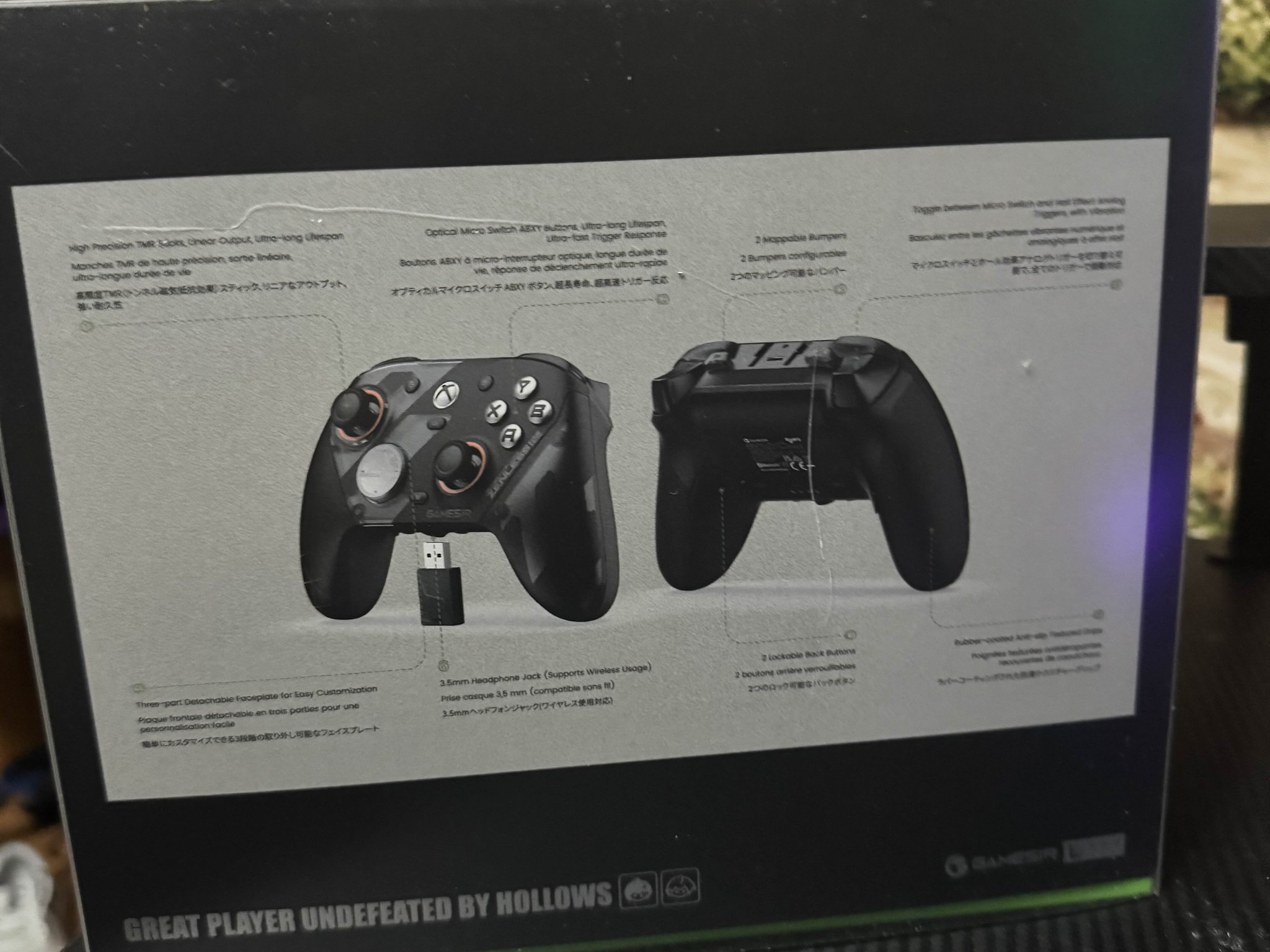 Zenless Zone Zero Game Sir Controller