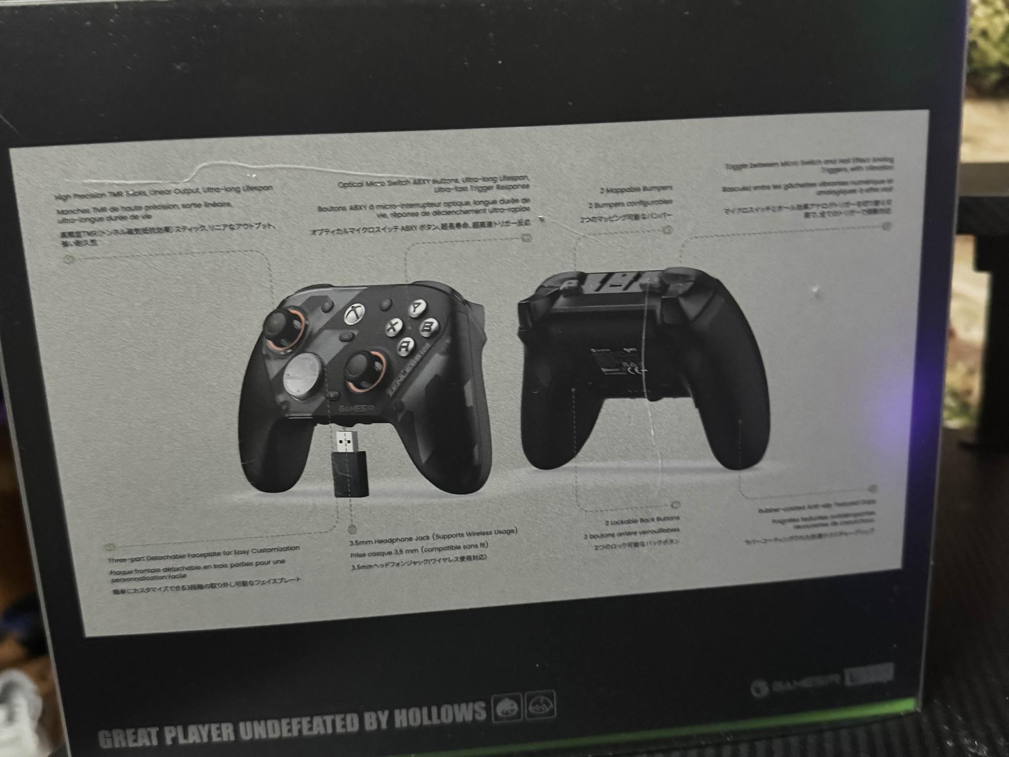 Zenless Zone Zero Game Sir Controller