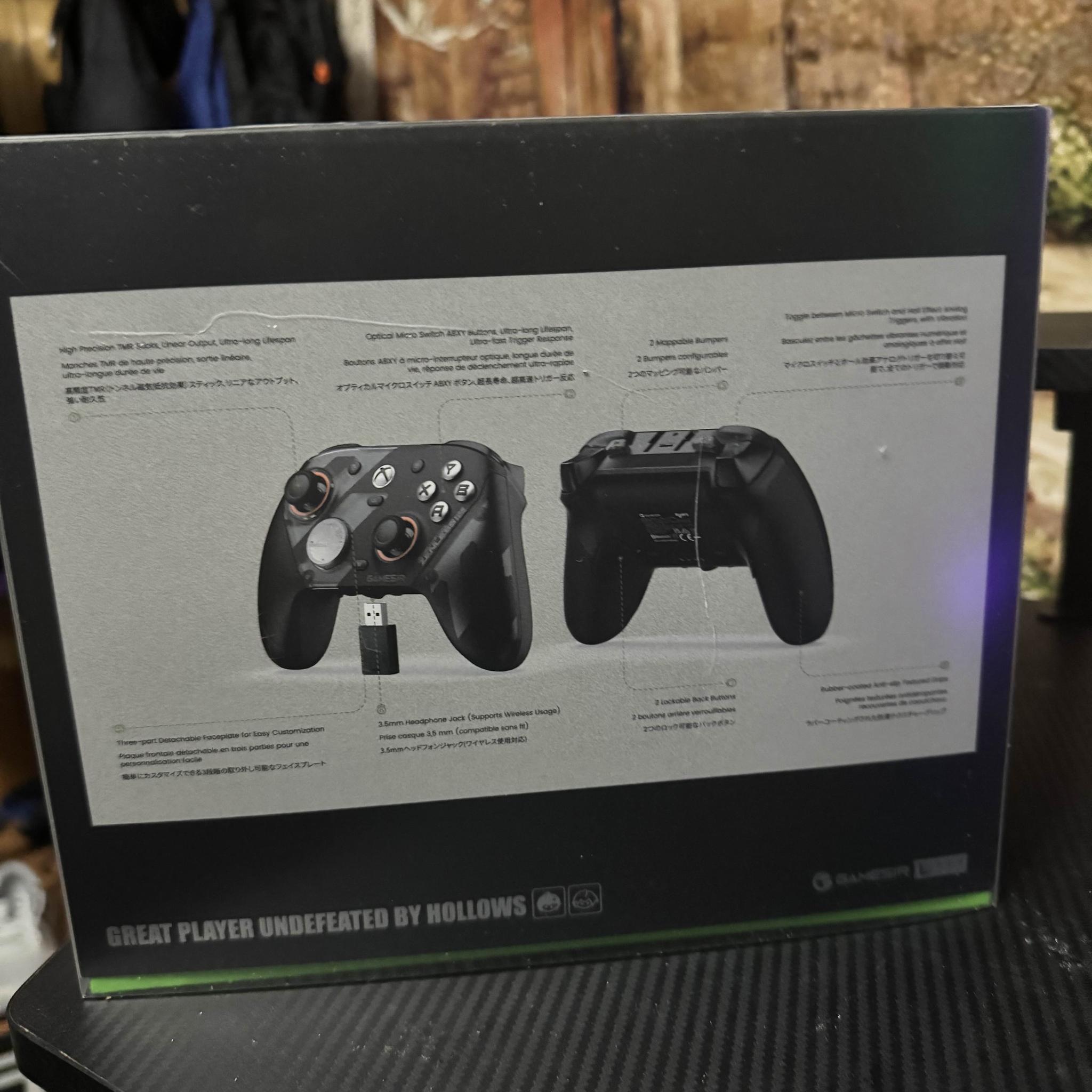 Zenless Zone Zero Game Sir Controller