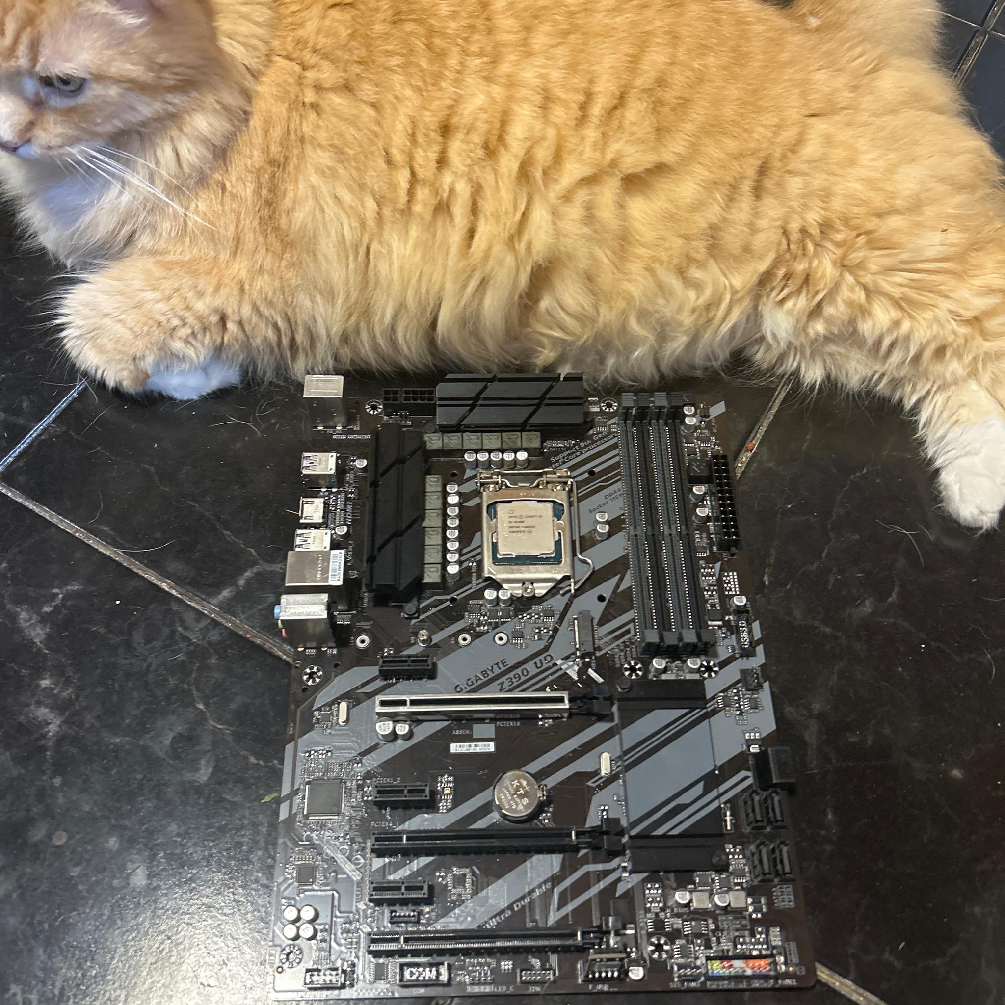 Z390/I5 9400F UNTESTED