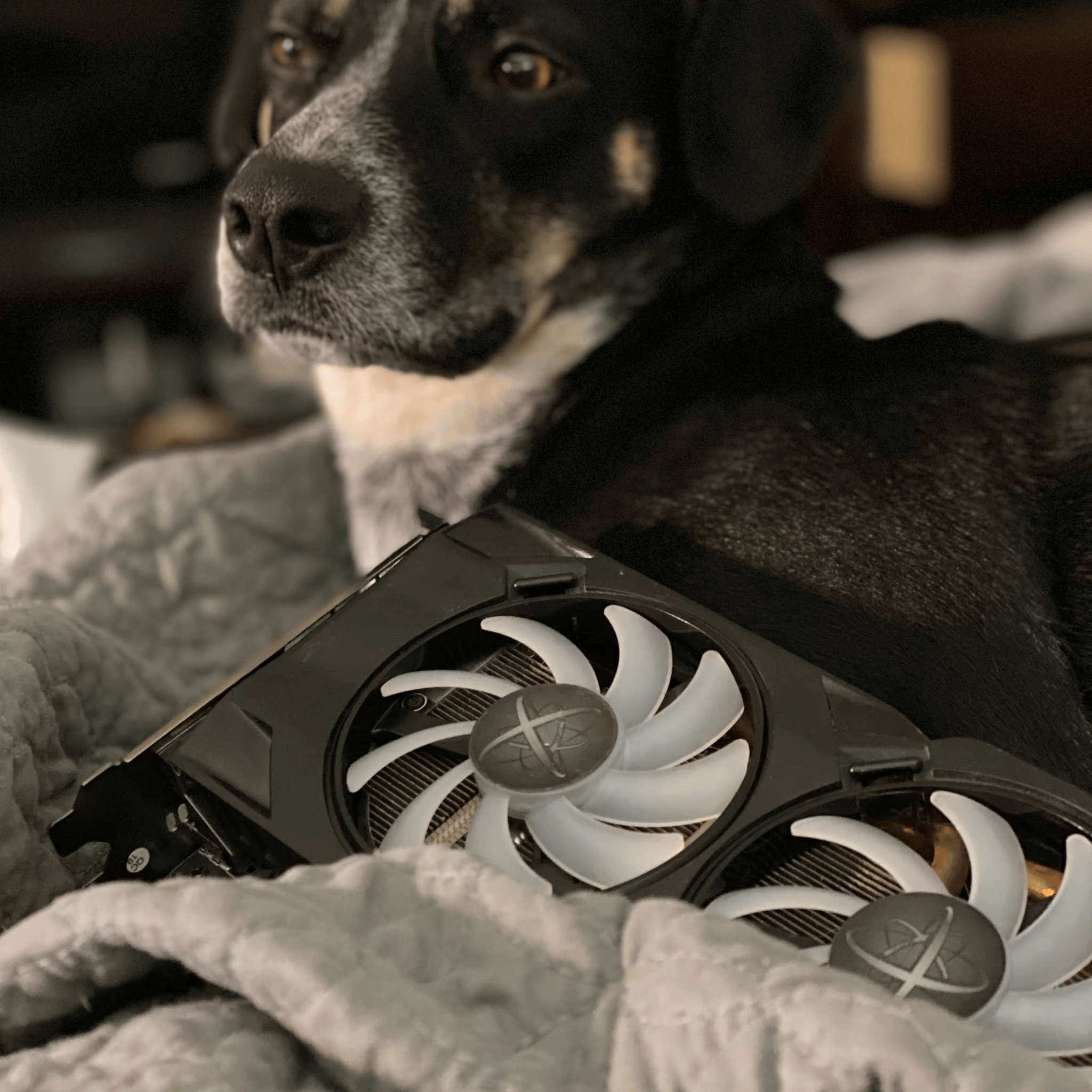 XFX Radeon RX 480 4GB
