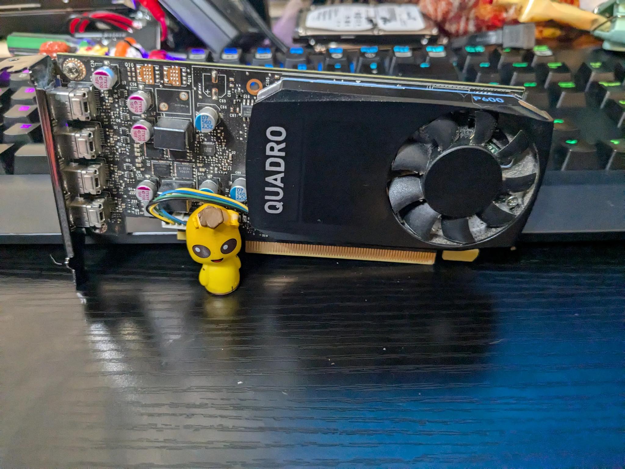 Low Profile SFF Nvidia Quadro P600 2GB 4x Mini DP | Budget gaming, workstation, better than GT 1030