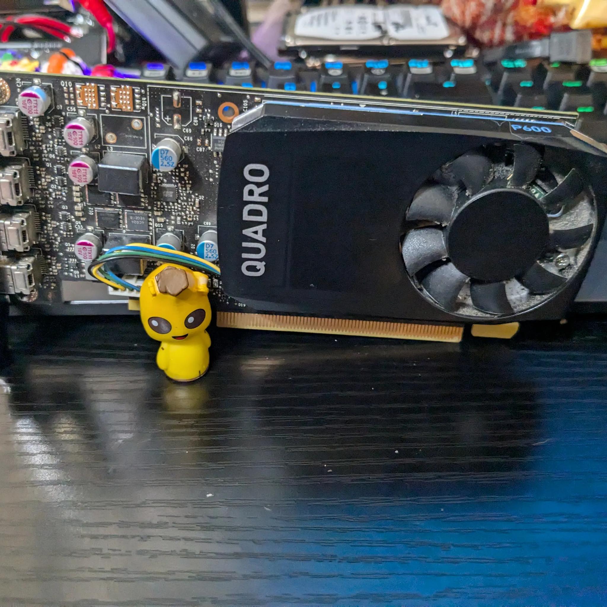 Low Profile SFF Nvidia Quadro P600 2GB 4x Mini DP | Budget gaming, workstation, better than GT 1030