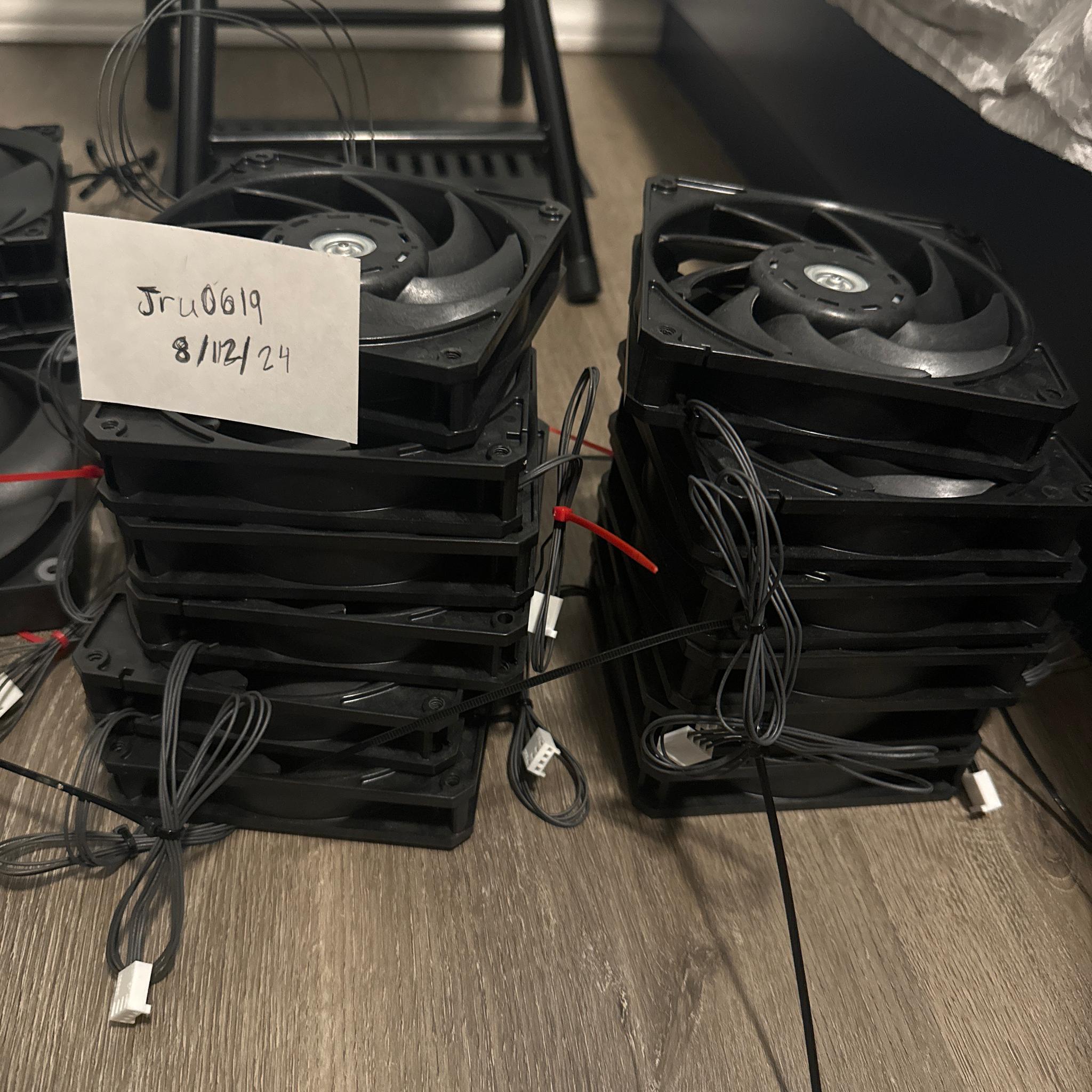 Lot of fans/ Ram!