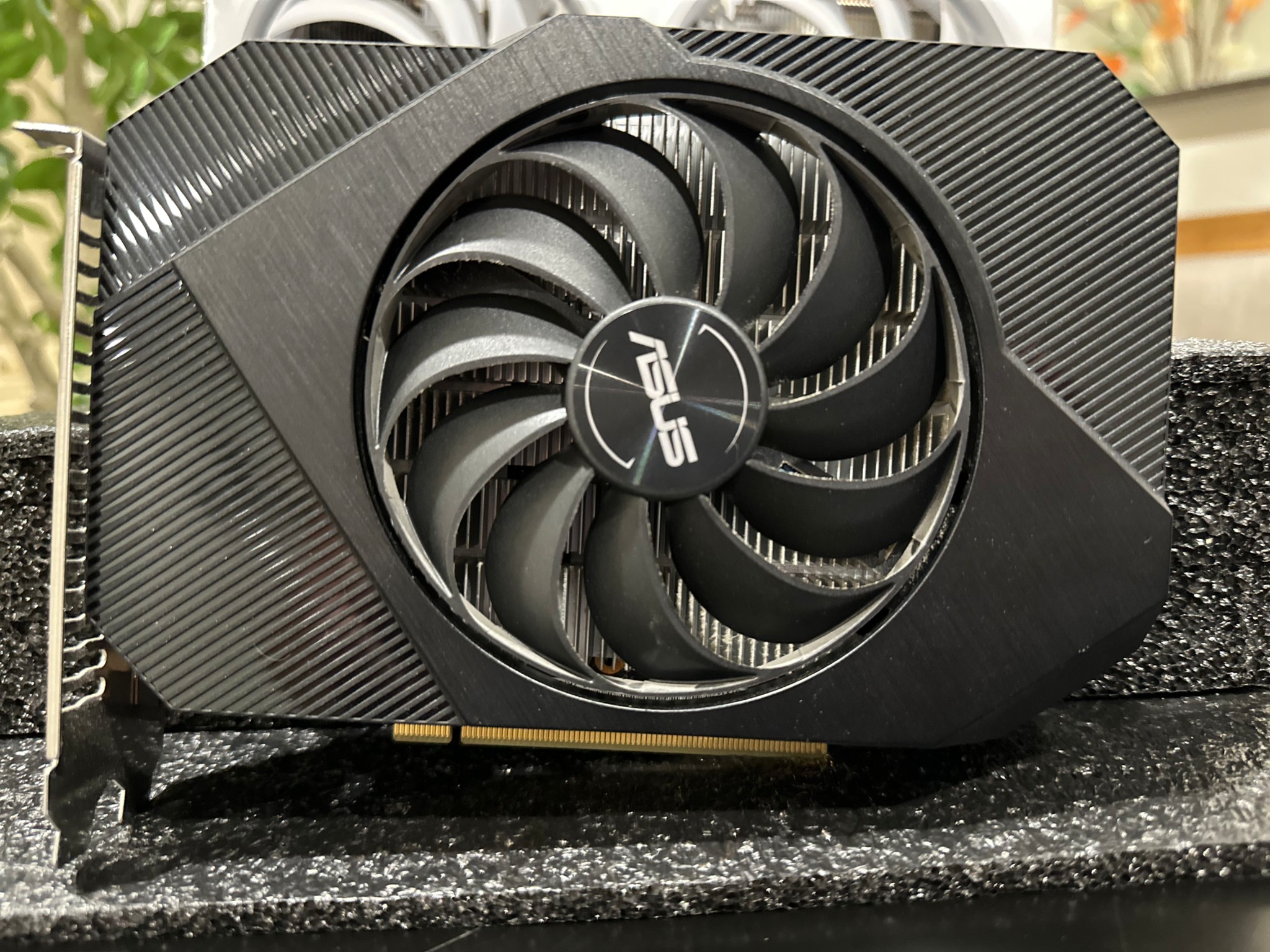 Asus single fan 1650!!
