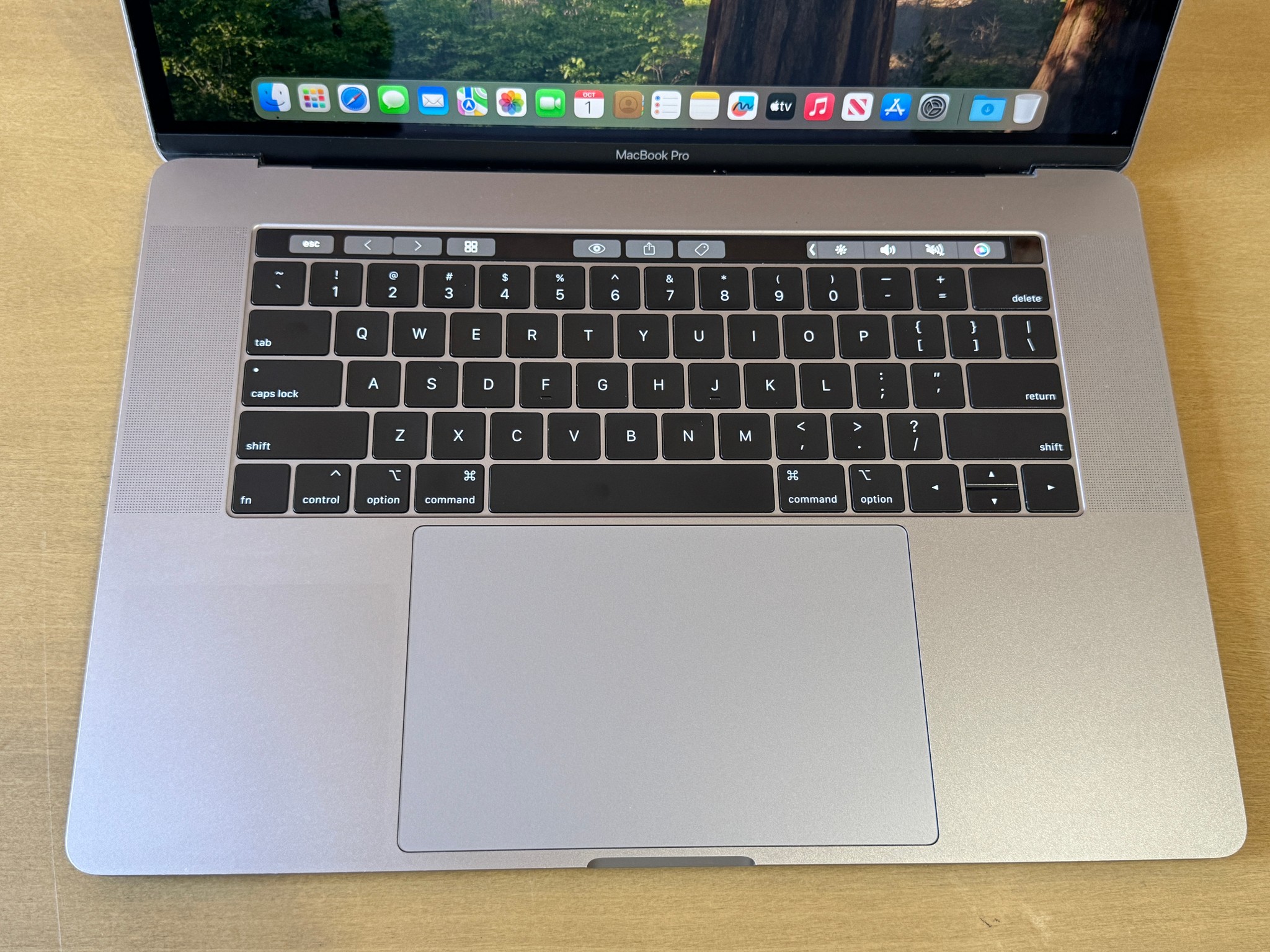 Apple MacBook Pro 15" (2018) Intel Core i7, 16GB Memory, AMD Radeon Pro 555X, 250GB SSD - Space Gray