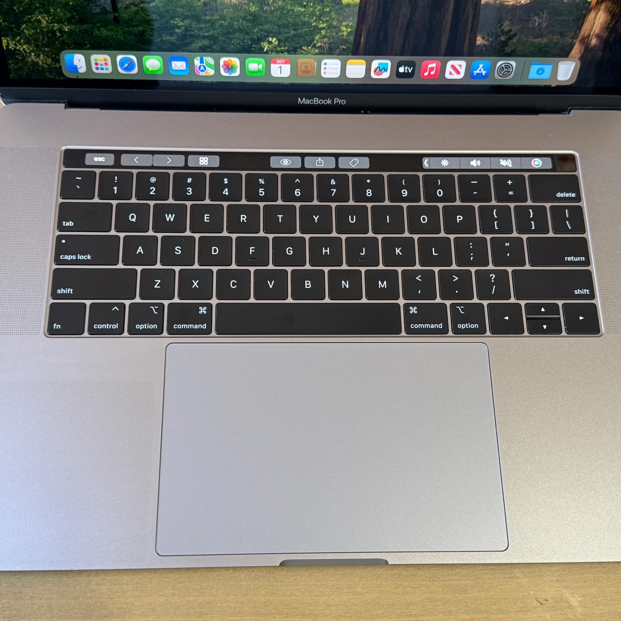 Apple MacBook Pro 15" (2018) Intel Core i7, 16GB Memory, AMD Radeon Pro 555X, 250GB SSD - Space Gray