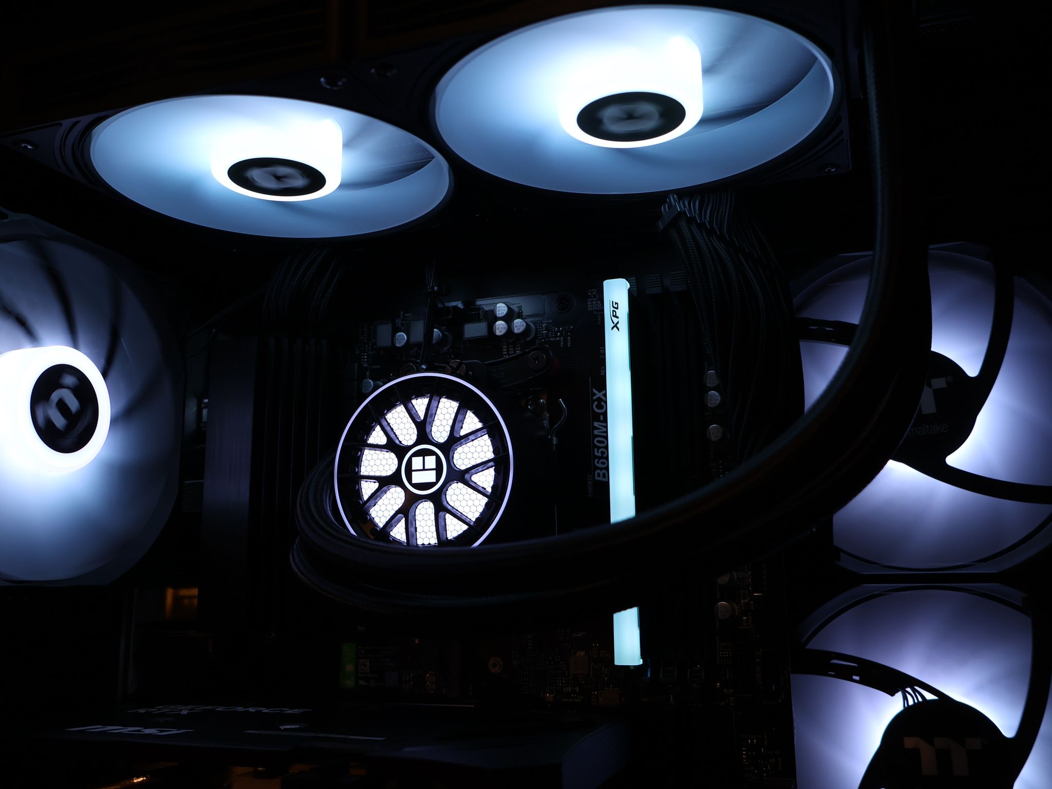 Modern AM5 Build | RTX 5060 | 8400F | 16GB DDR5 | 1TB NVME | Brand New Custom Gaming PC