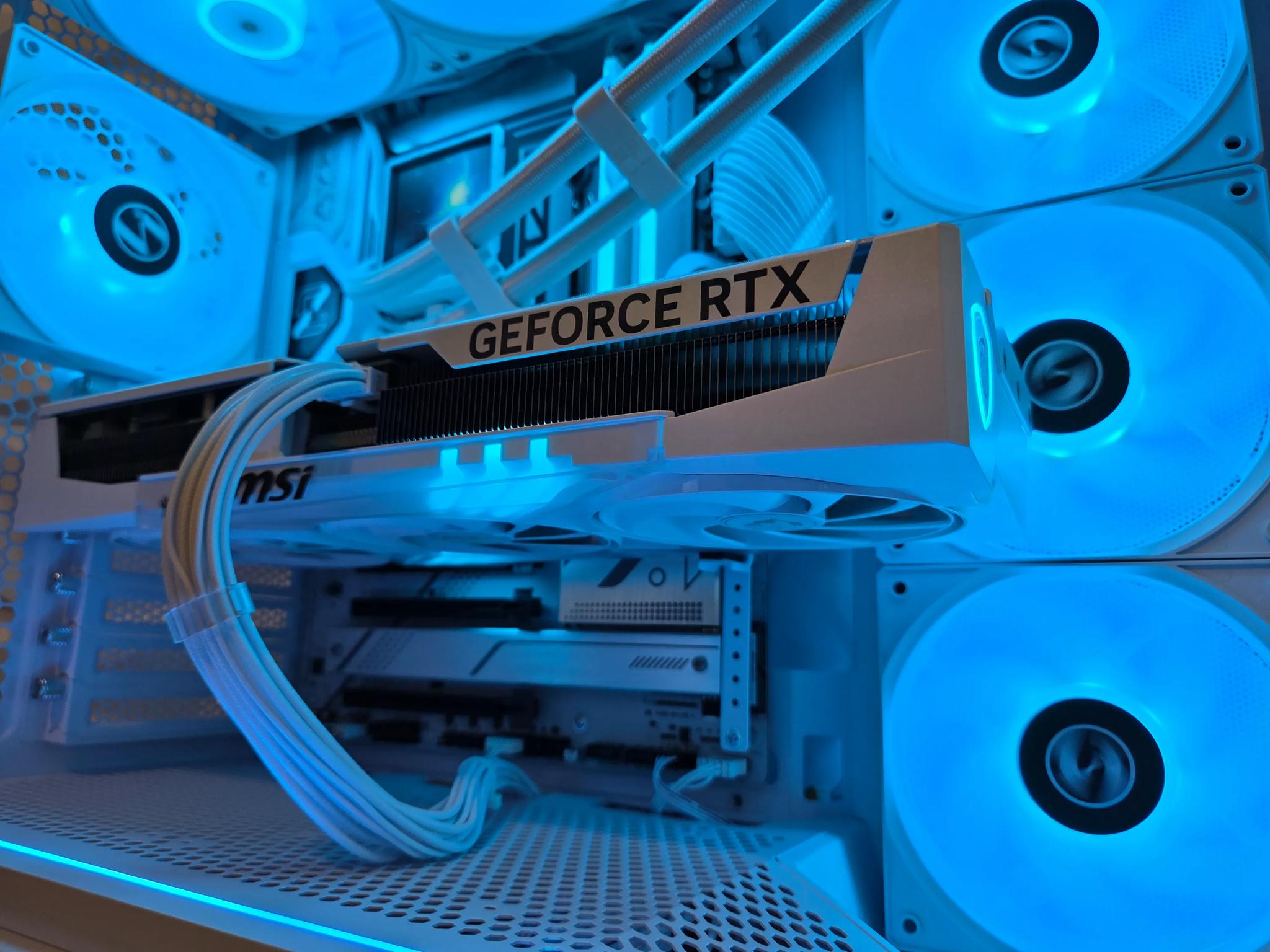 The White Lotus 🪷