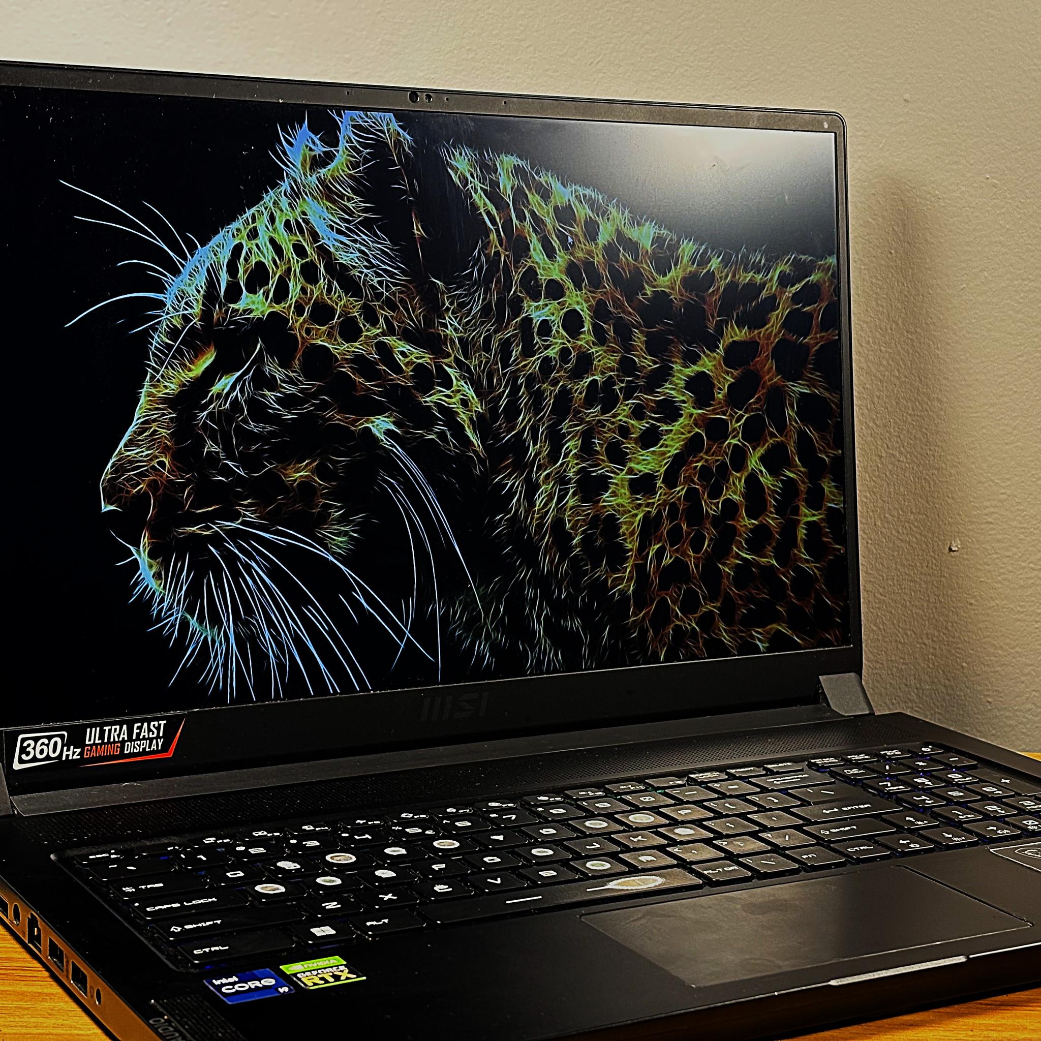 MIDRANGE GAMING LAPTOP ( i9, RTX 3070, 32GB). $999 OBO.
