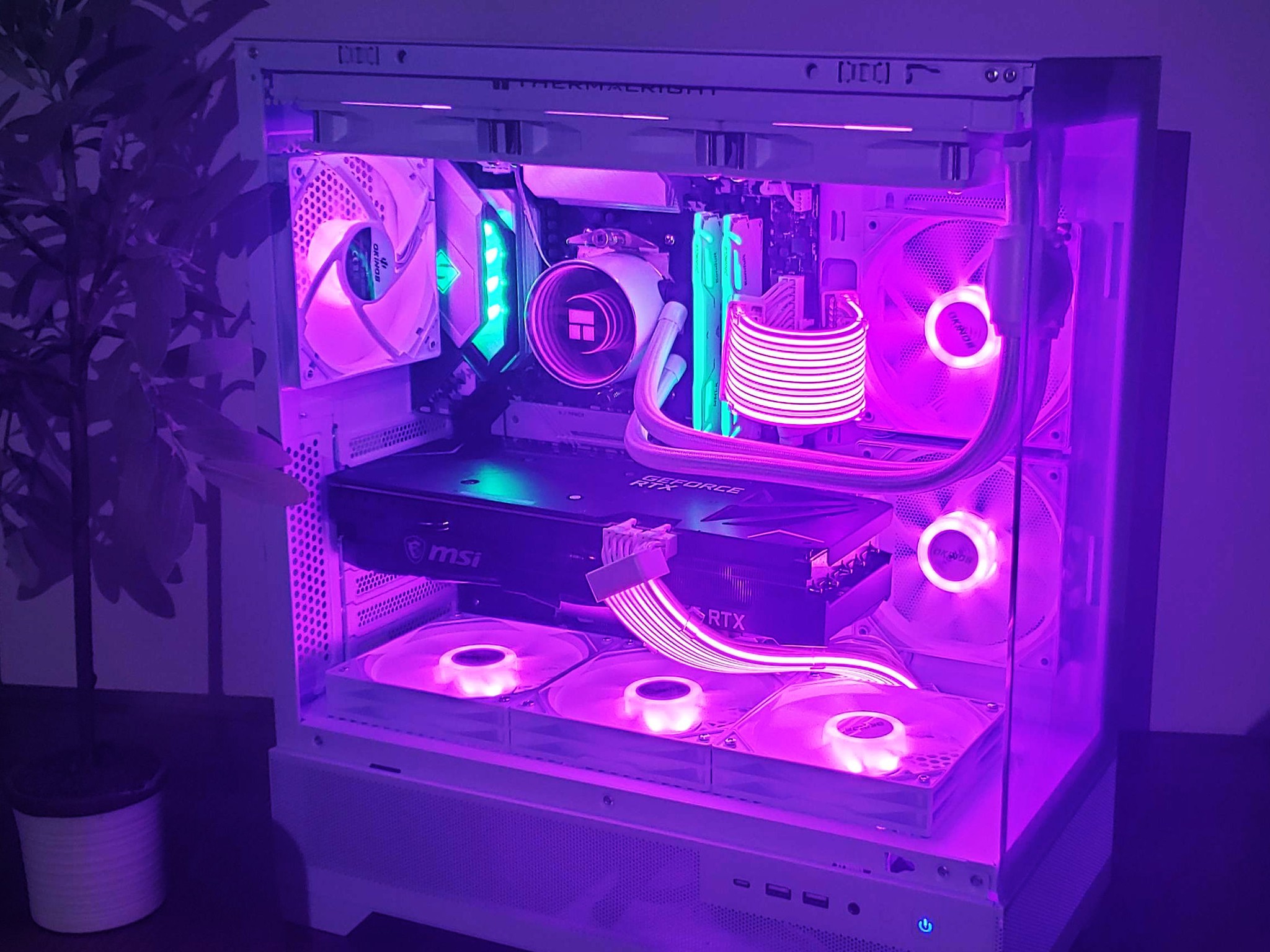 "The Chill" 1440P Beast