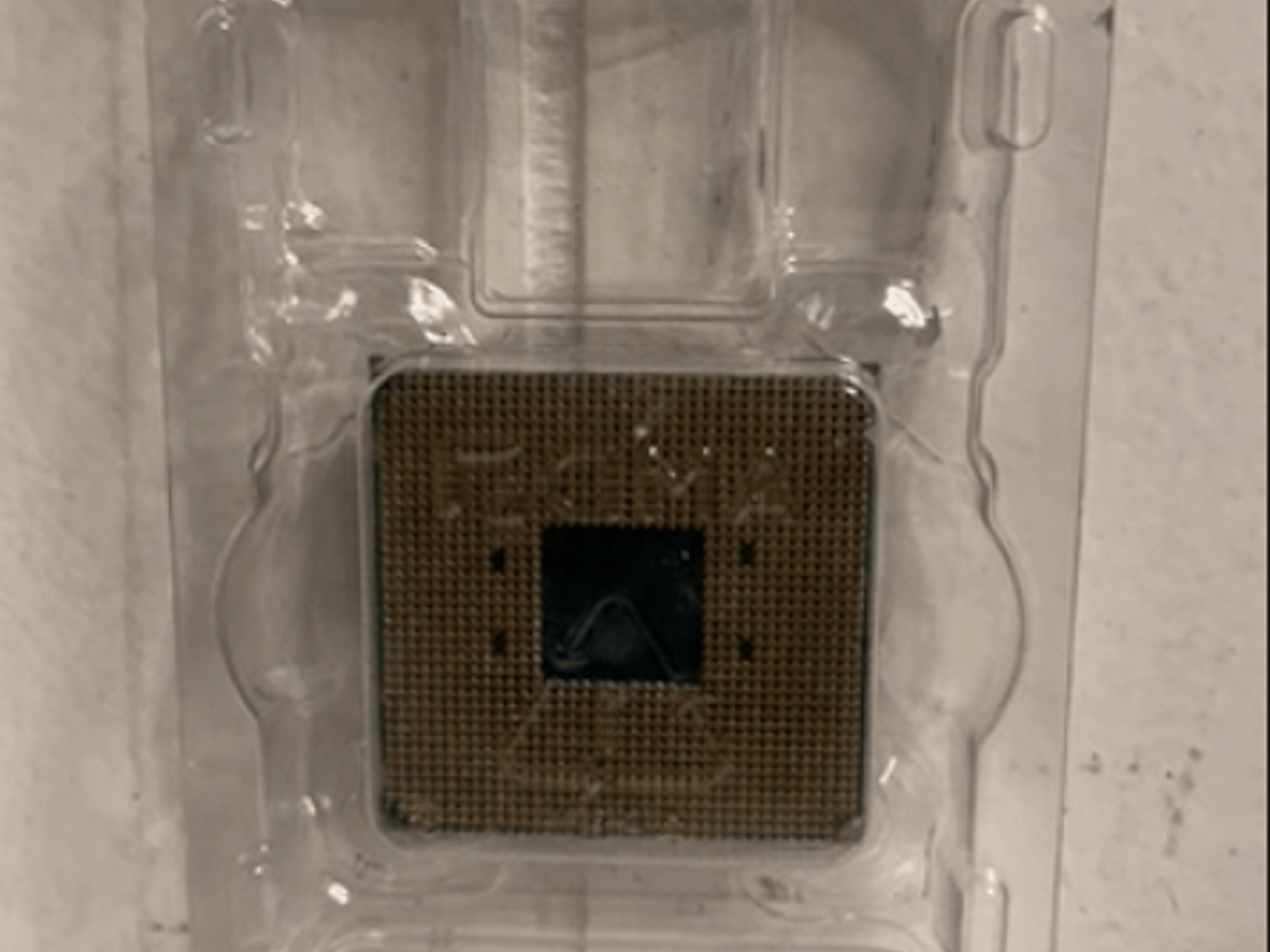 ryzen 5 5600x
