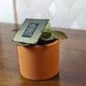 Intel Core i7-7700 - 4 Core/8Thread - LGA1151 Socket - Intel 100/200 Chipset - Tested working!