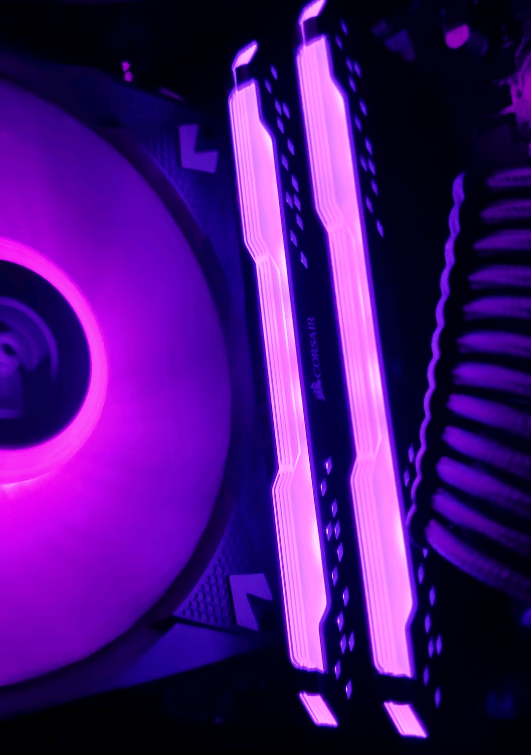 Raven | RTX 3060 - Ryzen 5 5600x Gaming and Streaming PC