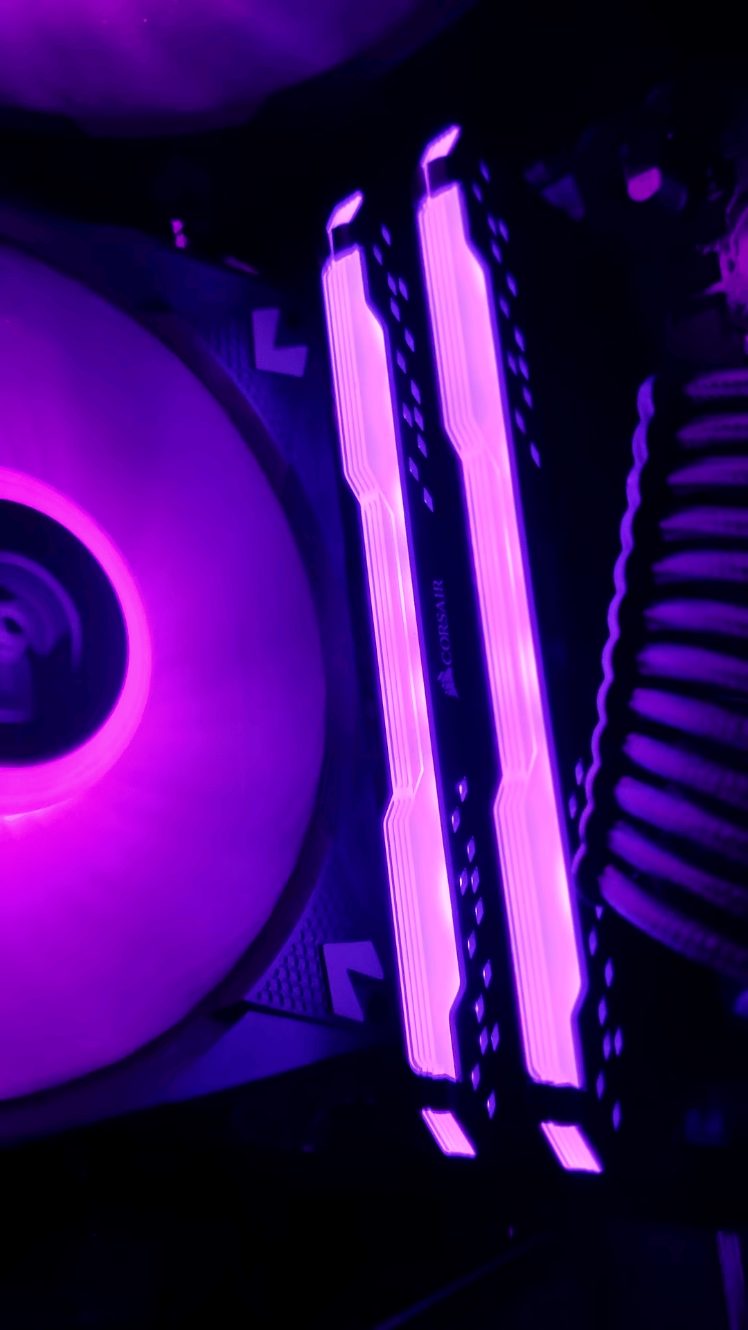 Raven | RTX 3060 - Ryzen 5 5600x Gaming and Streaming PC
