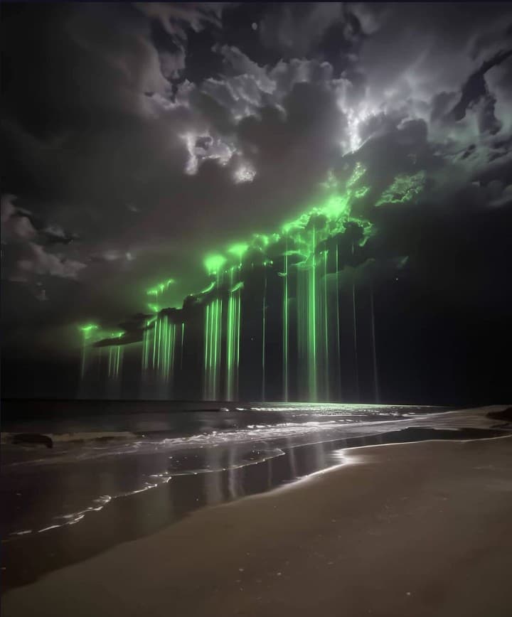 Papa Pierogi PC Parts