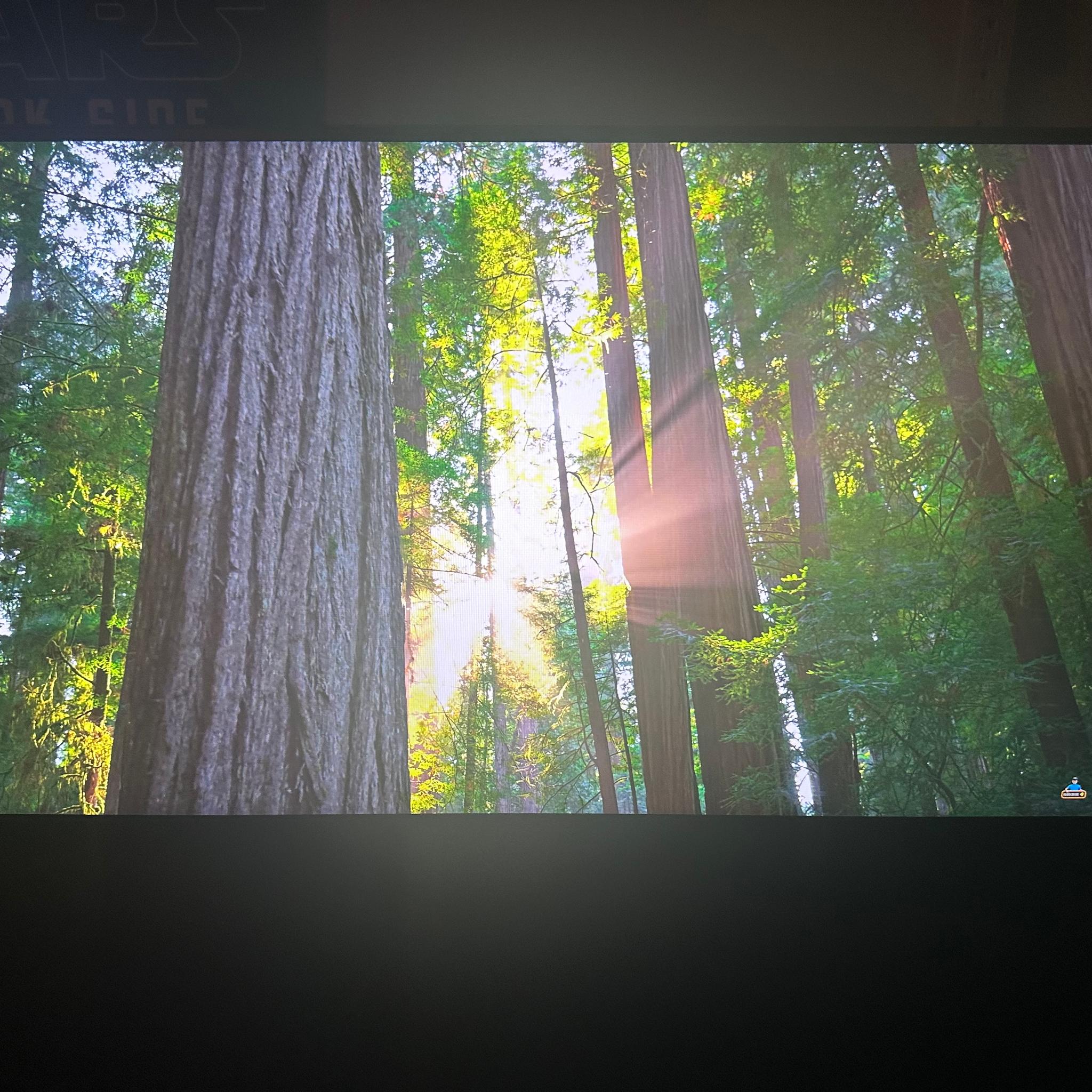 MSI G274QPF 27” 1440p, 170hz, 1ms rps, HDR400 (USED)
