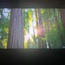 MSI G274QPF 27” 1440p, 170hz, 1ms rps, HDR400 (USED)