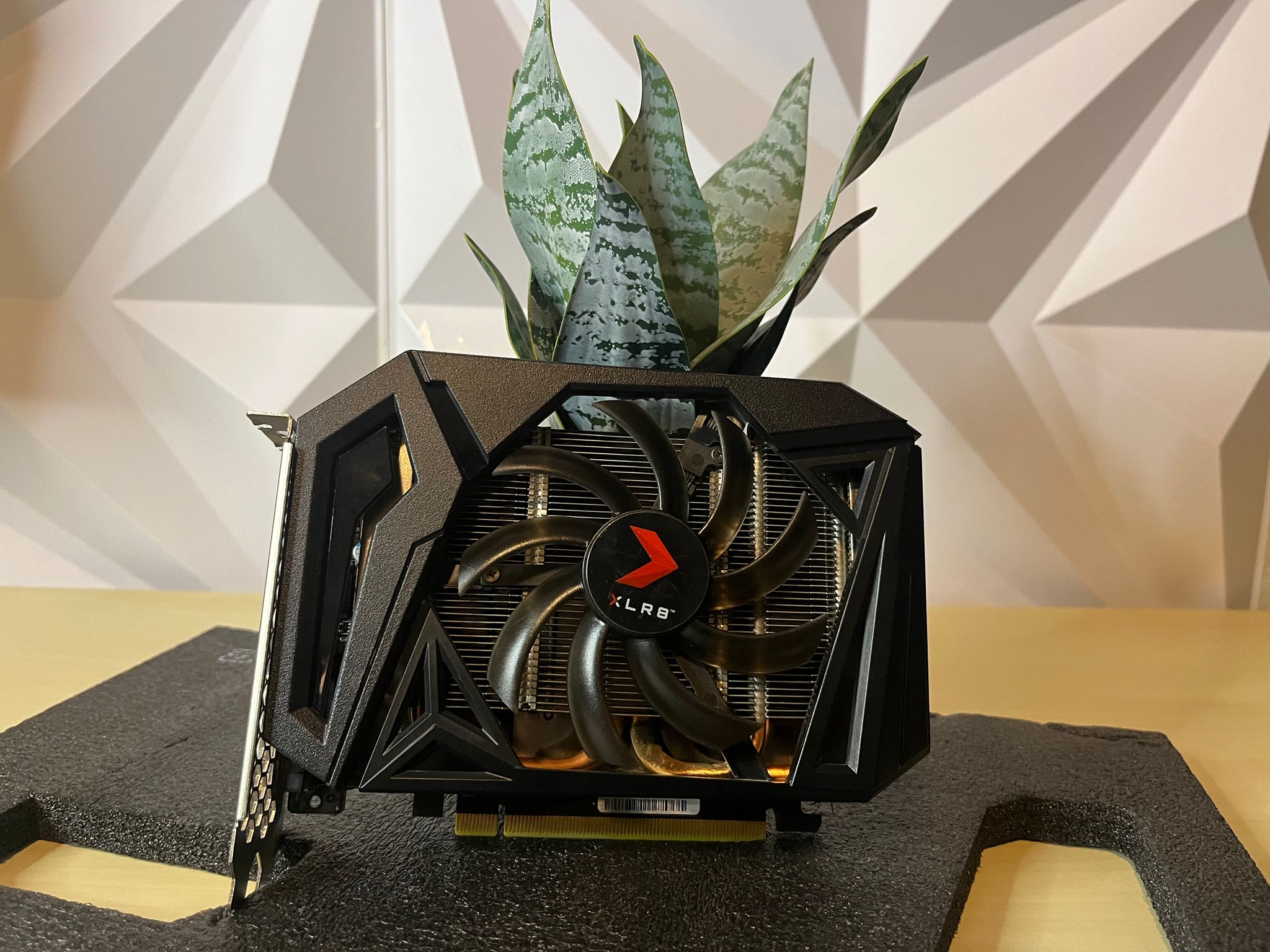 PNY 1660 Super 6gb vram