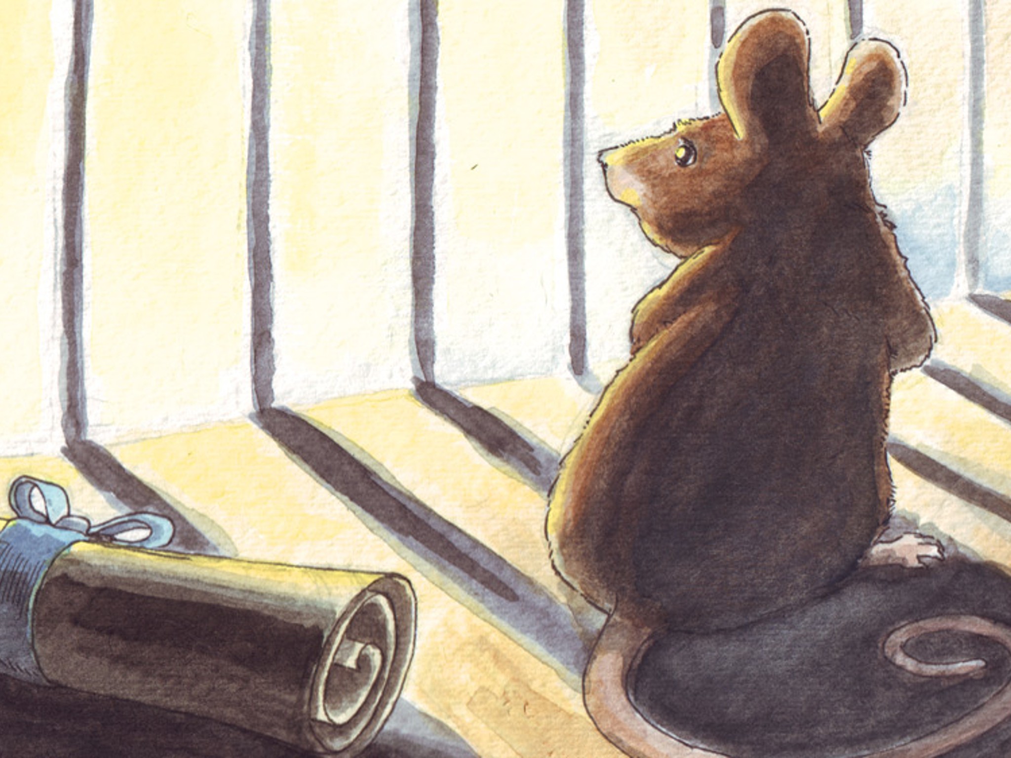 Absolutely terrible but brand new mouse.