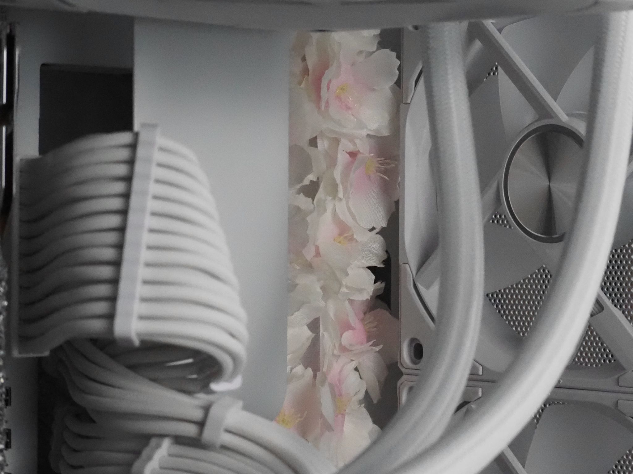 "Cherrytree" by Optimist | The Floral Series