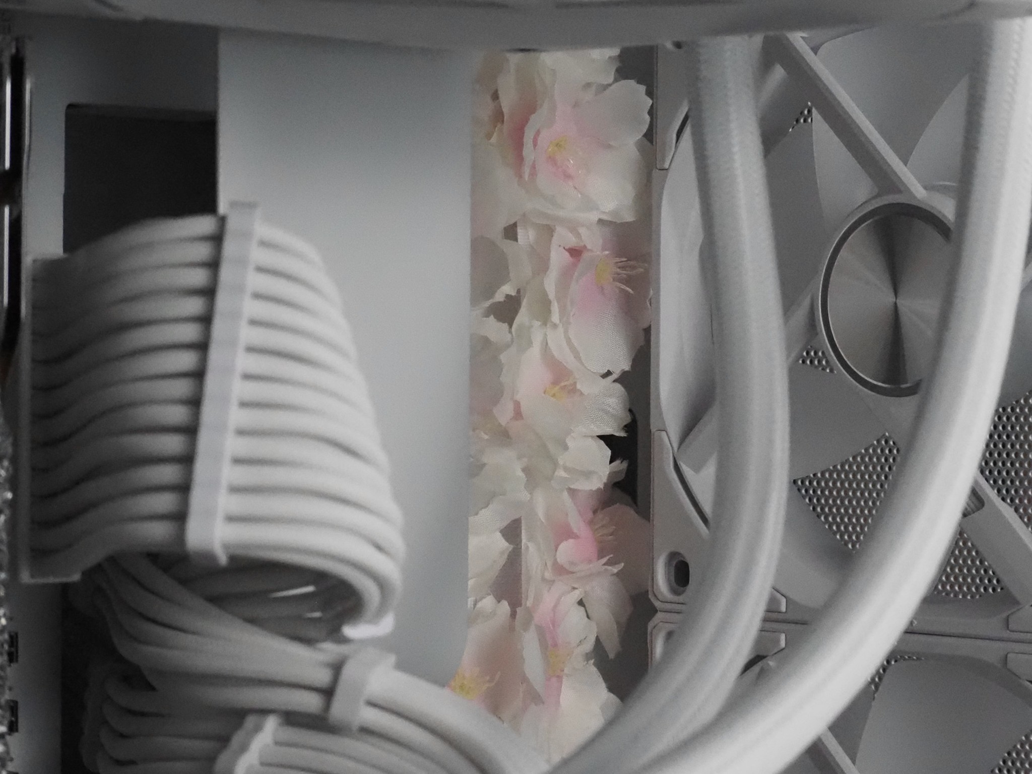 "Cherrytree" by Optimist | The Floral Series