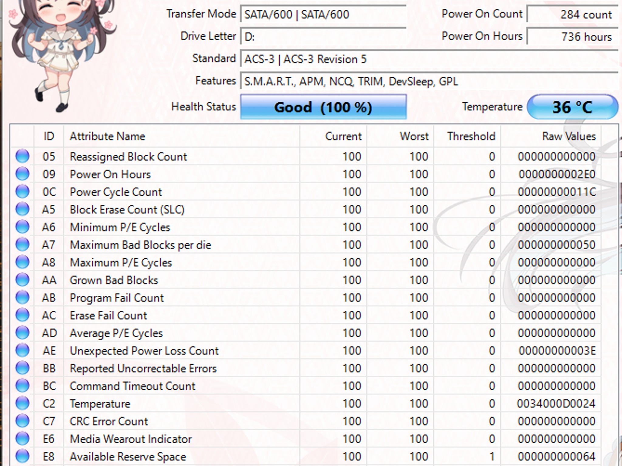 WD Blue SA510 2TB SATA SSD Tested Working 100% Health Low Hours