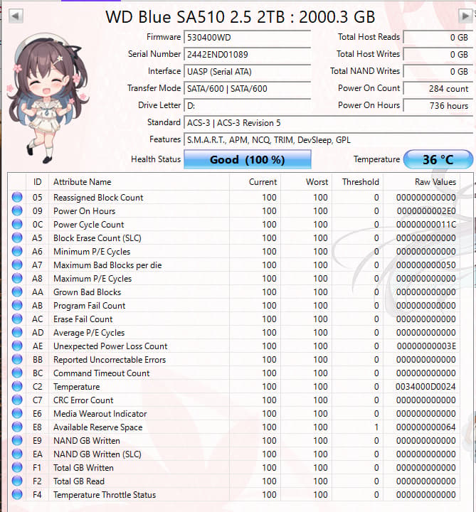 WD Blue SA510 2TB SATA SSD Tested Working 100% Health Low Hours