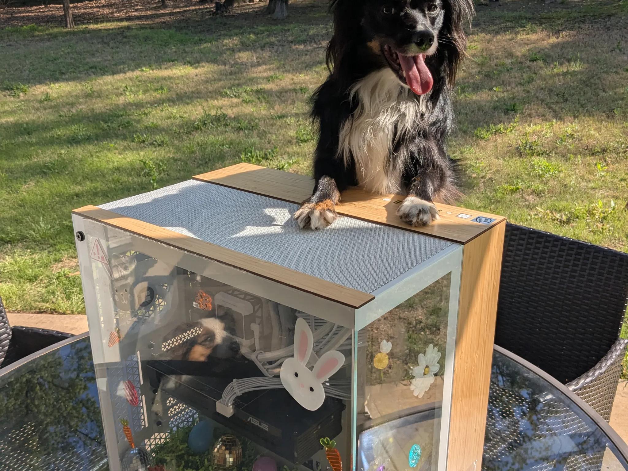 Eggcelent 4K Gaming/Streaming PC | i7-14700KF, RTX 5070, 2TB NVME, 32GB DDR5, Liquid Cooled